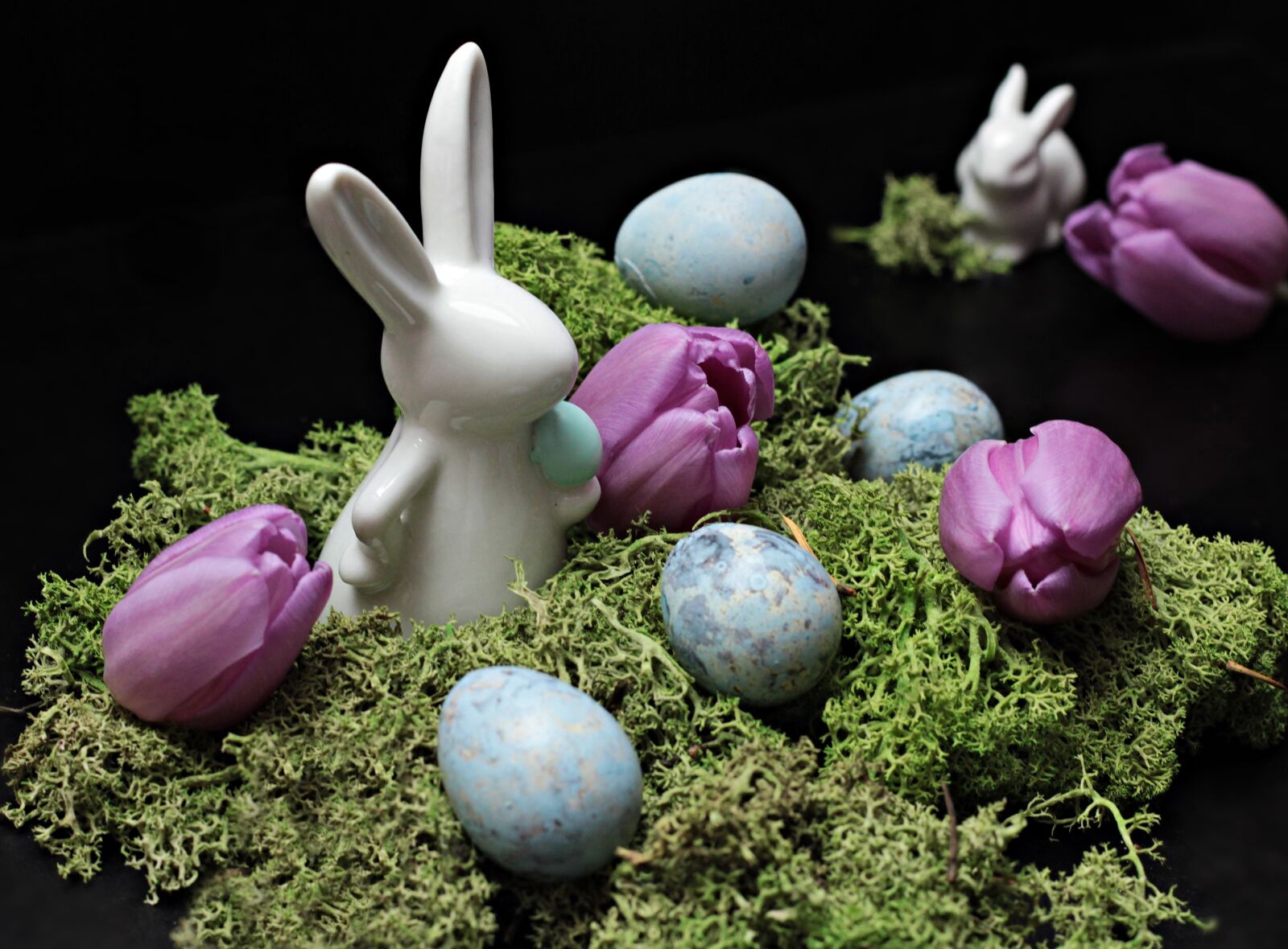 Canon EOS 550D (EOS Rebel T2i / EOS Kiss X4) sample photo. Hare, easter bunny, easter photography