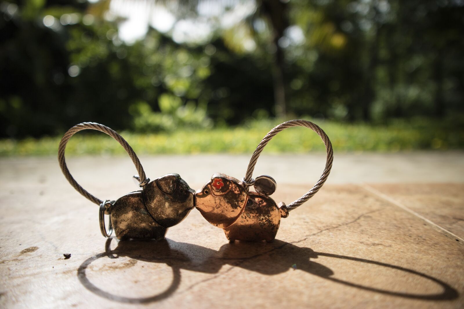 Canon EOS M3 sample photo. Pigs, kiss, cute photography