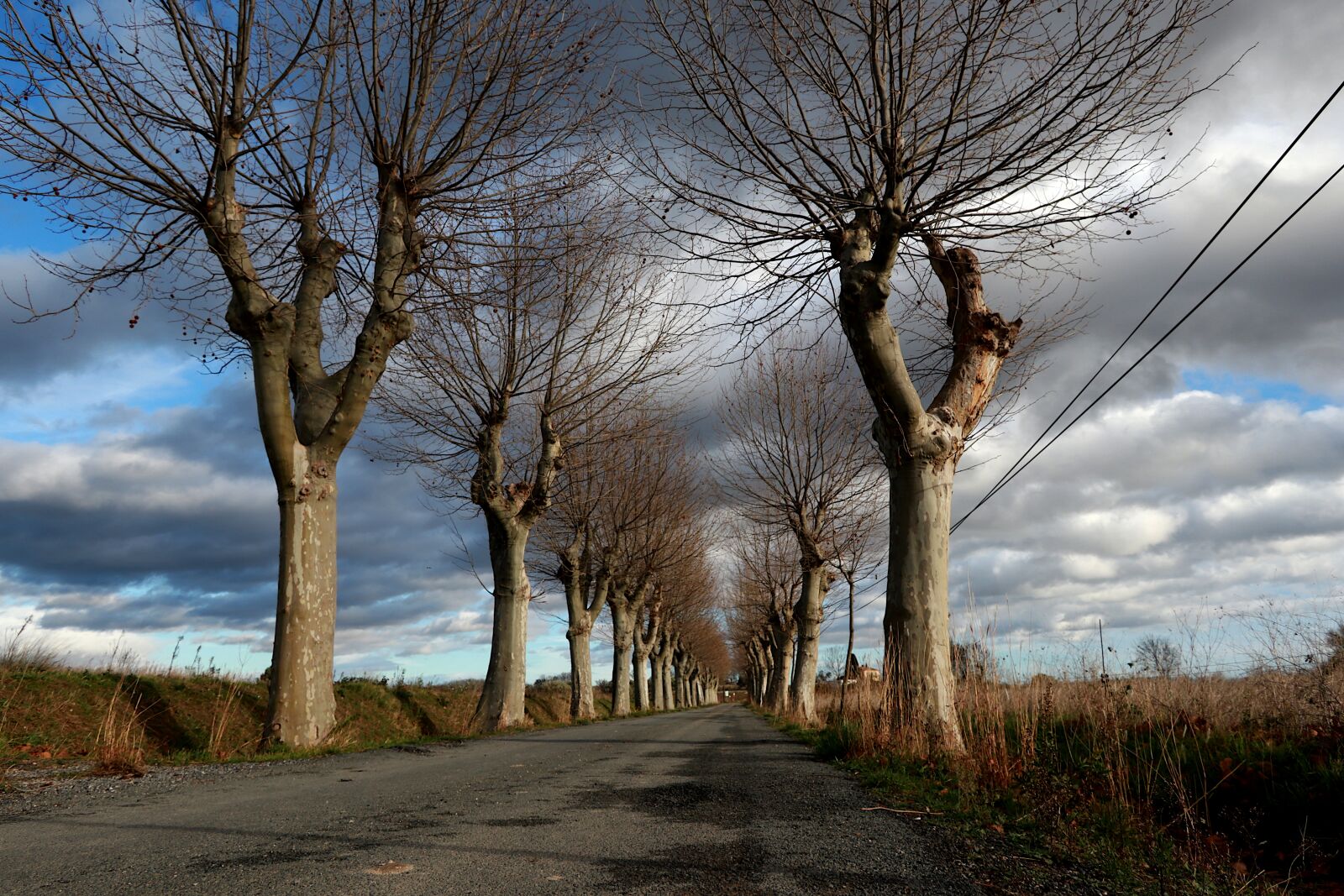 Canon PowerShot G1 X Mark III sample photo. Road, trees, plane photography