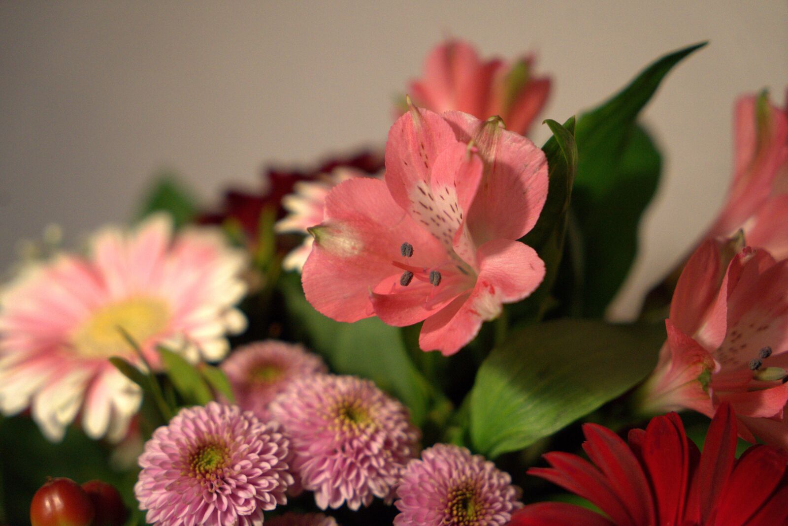 Sony a7 II + Sony Vario Tessar T* FE 24-70mm F4 ZA OSS sample photo. Bouquet, flower, blossom photography