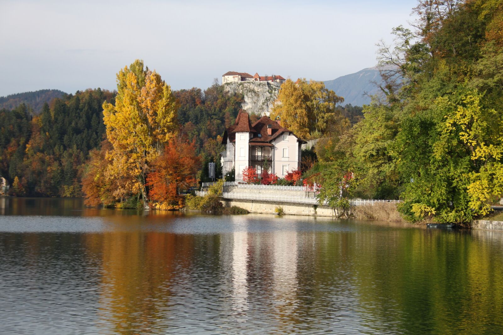 Canon EOS 50D sample photo. Autumn, nature, tree photography