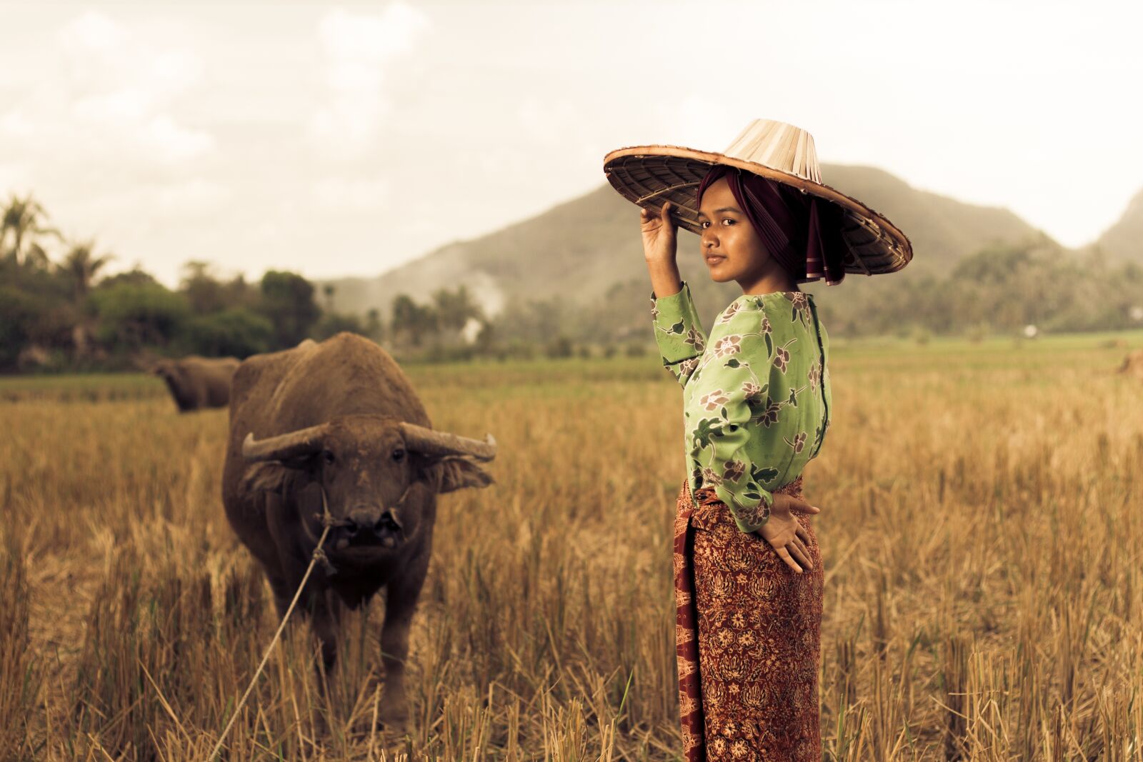 Canon EOS 700D (EOS Rebel T5i / EOS Kiss X7i) + Canon EF 50mm F1.8 STM sample photo. Paddy field, girl, west photography