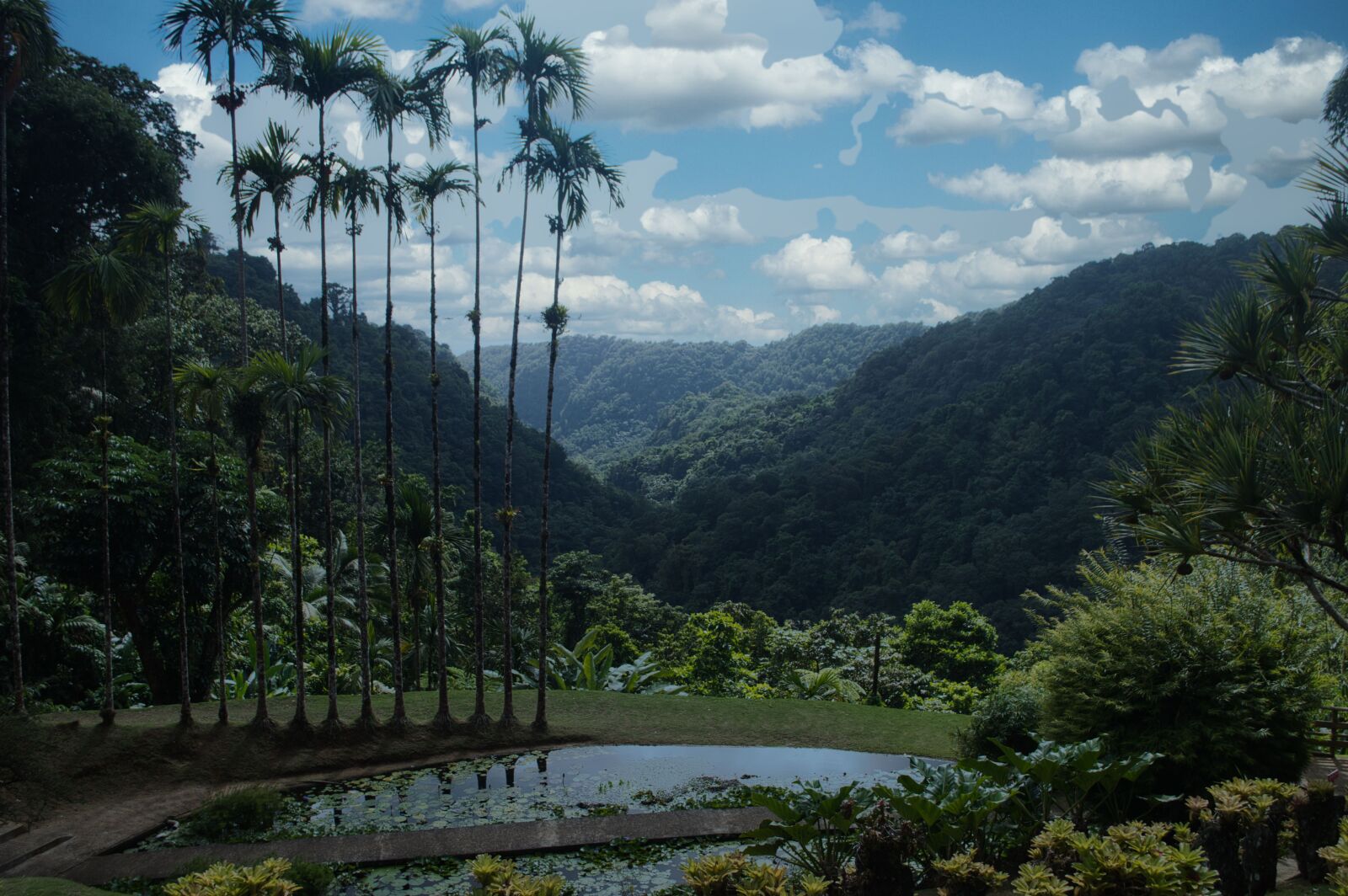 Nikon D3200 sample photo. Landscape, martinique, island photography