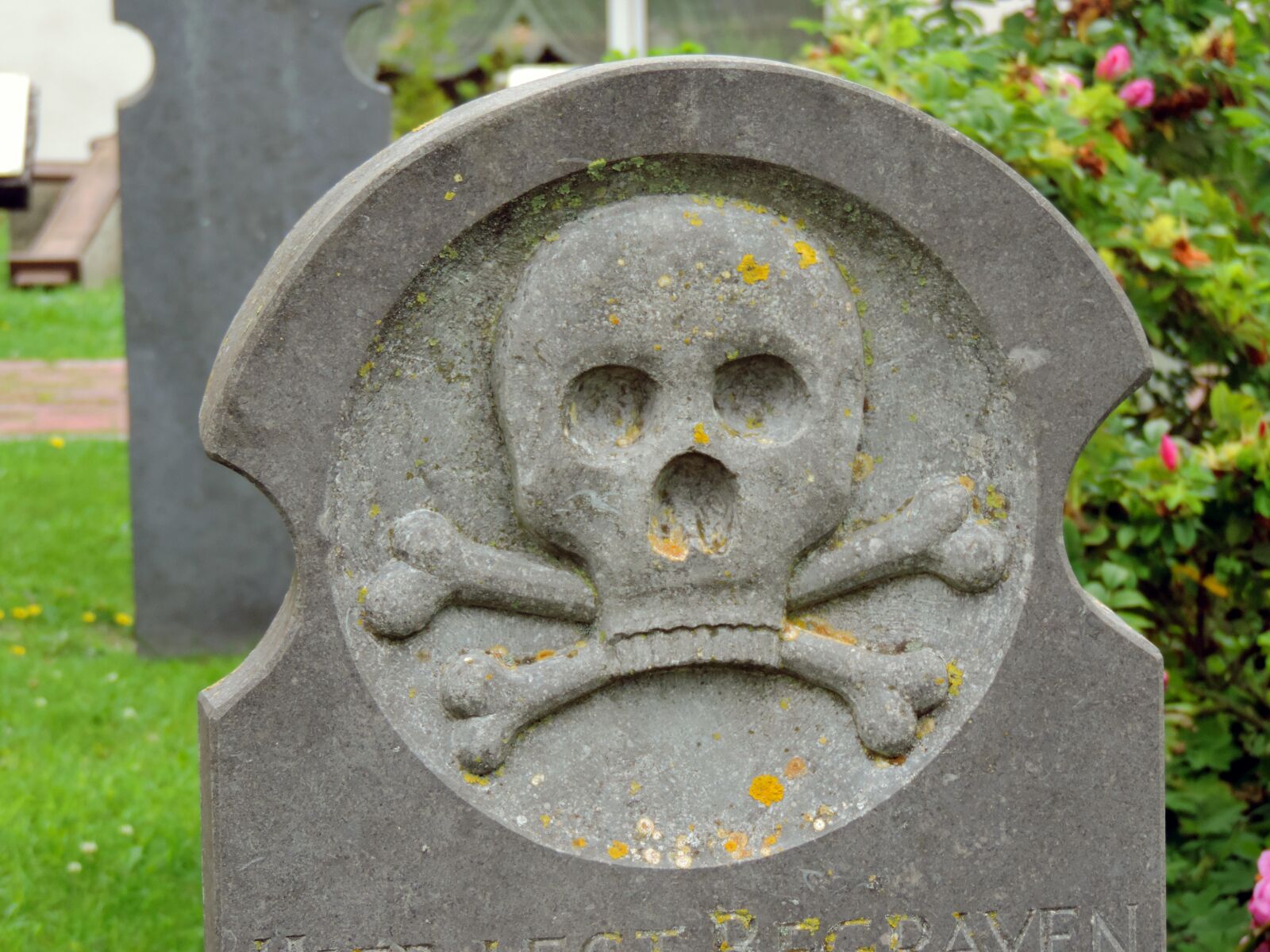 Nikon Coolpix P520 sample photo. Grave, whalers cemetery, old photography