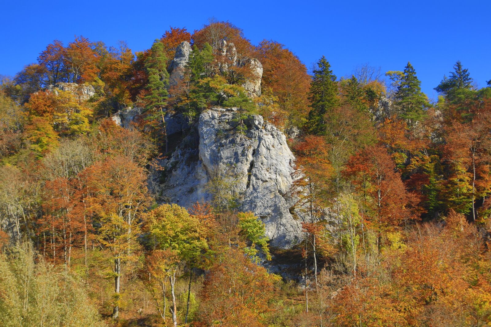 Canon EOS 7D Mark II sample photo. Autumn, forest, valley photography