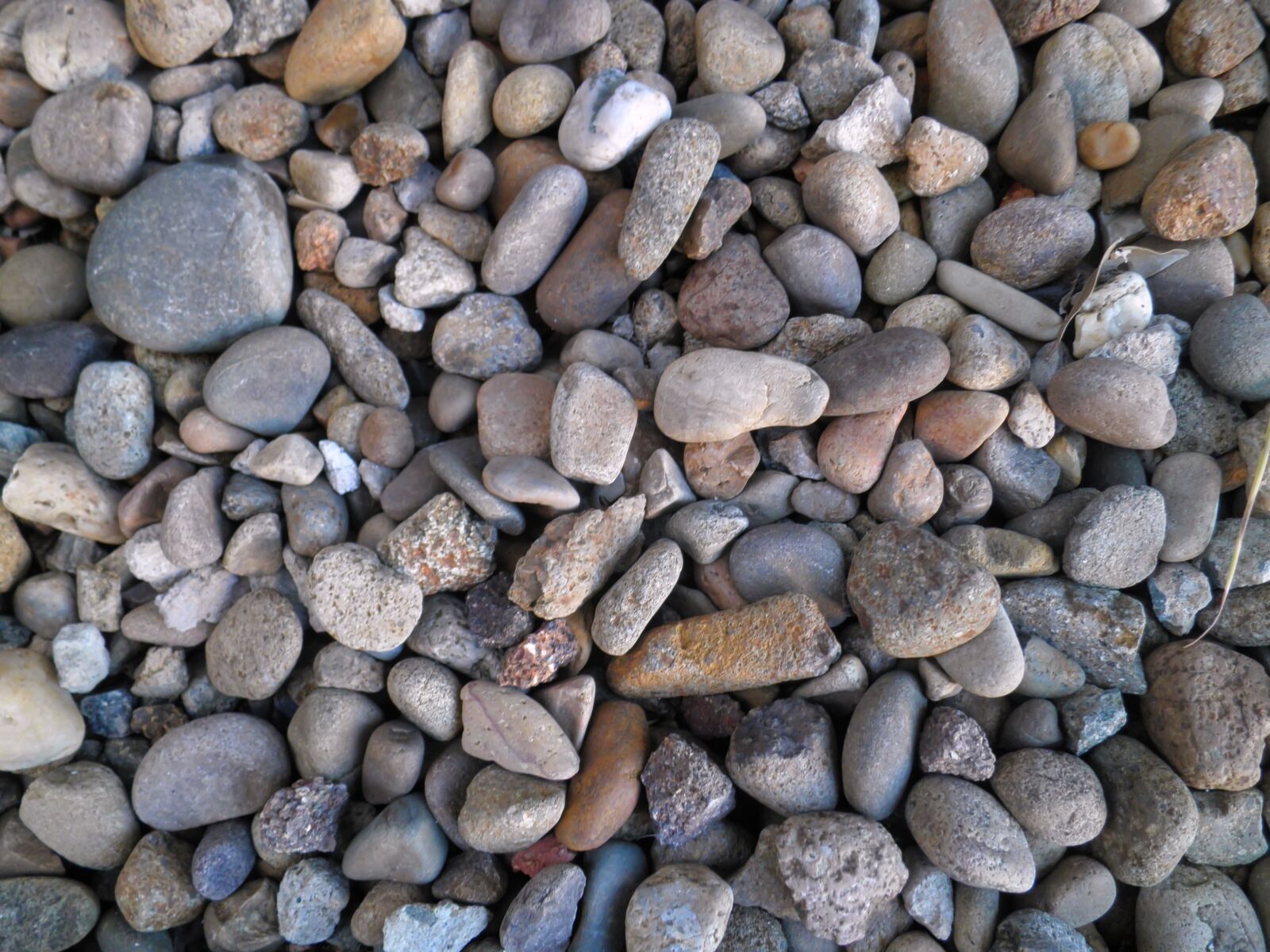 Olympus u5010,S5010 sample photo. Stones, pebbles, ground photography