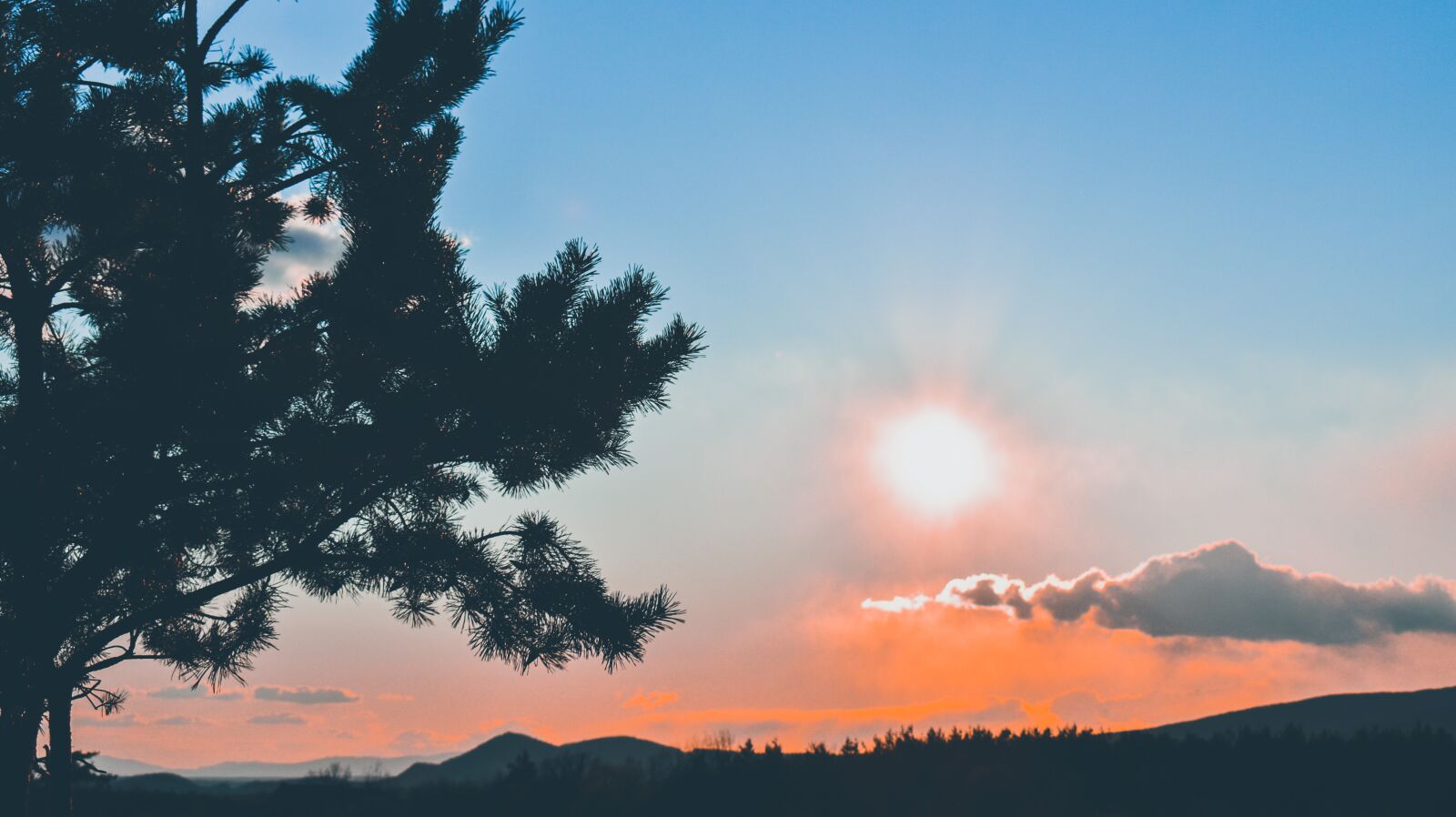 Nikon D3500 sample photo. Sunrise, nature, landscape photography