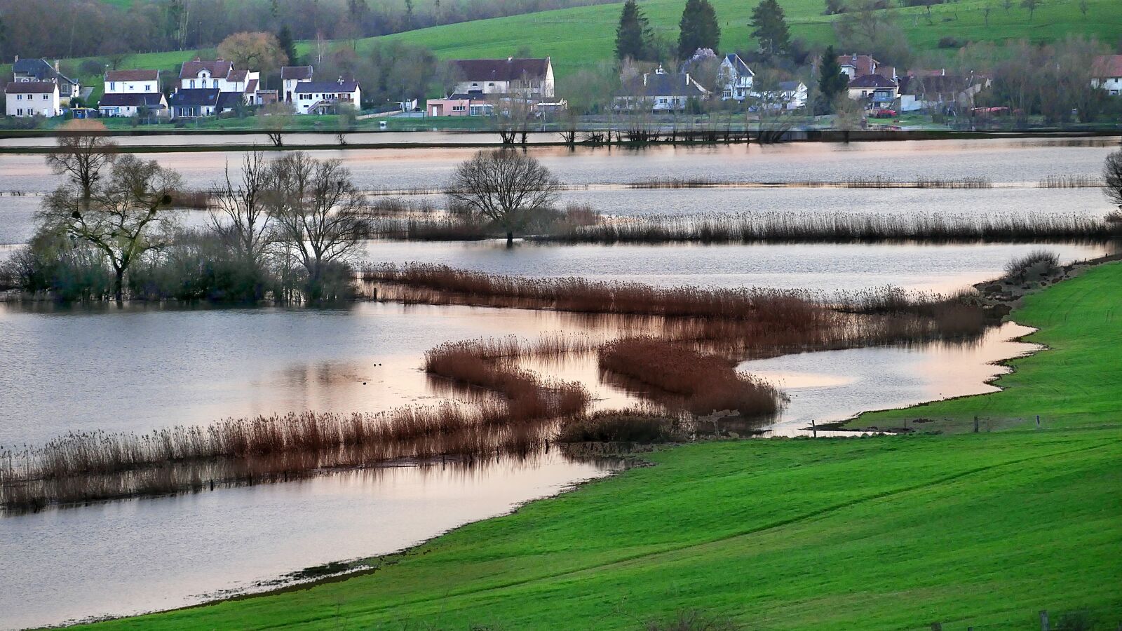 Panasonic Lumix DMC-GX85 (Lumix DMC-GX80 / Lumix DMC-GX7 Mark II) sample photo. Flood, river, waterpolo photography