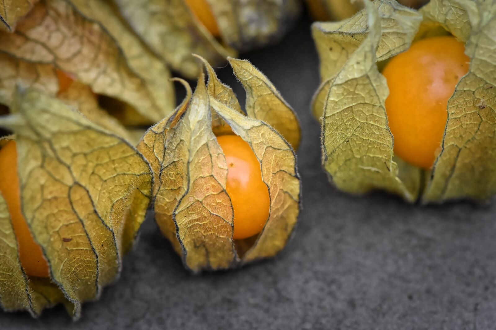 Nikon D7200 sample photo. Physalis, fruit, berry photography
