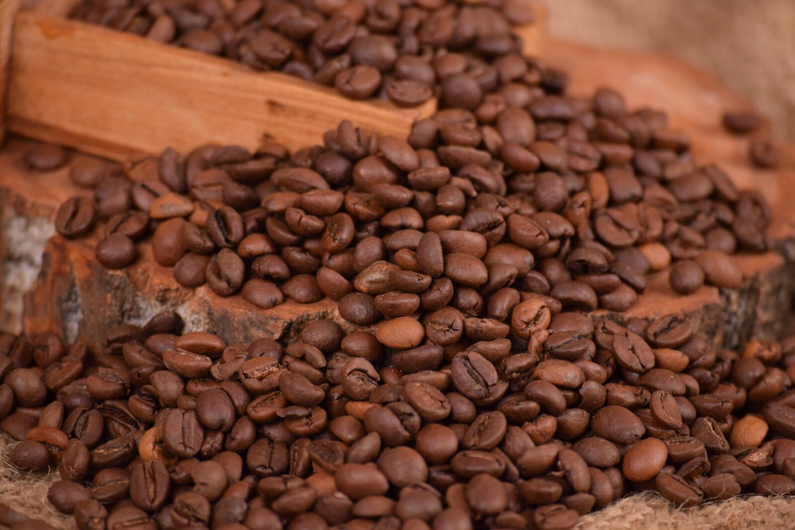 Nikon D3300 sample photo. Coffee, caffeine, seed photography