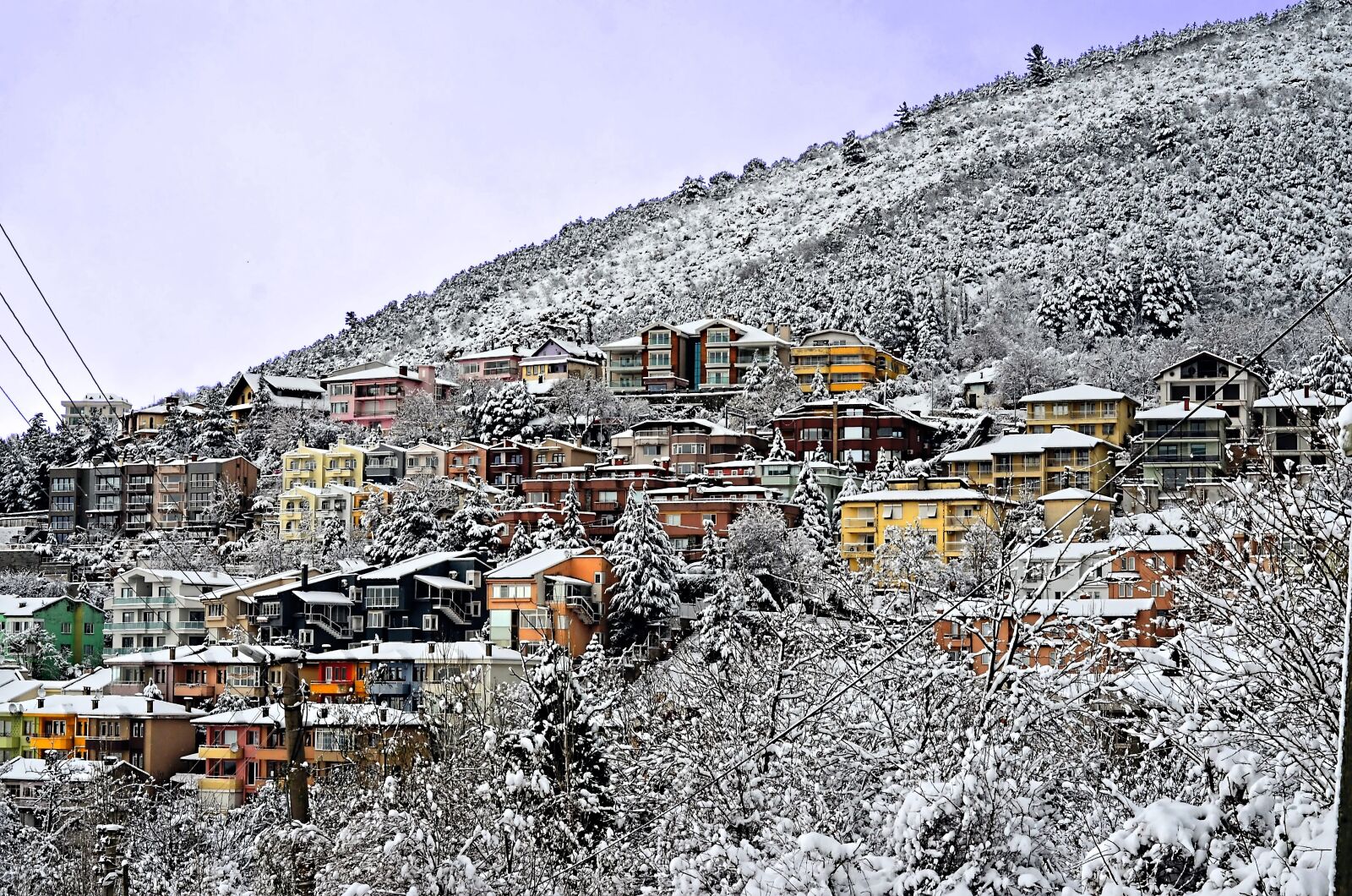 Nikon D5100 sample photo. Kiis, winter, snow photography