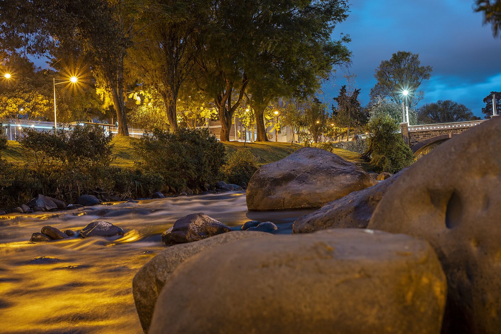 Nikon D600 sample photo. Basin, bridge of the photography