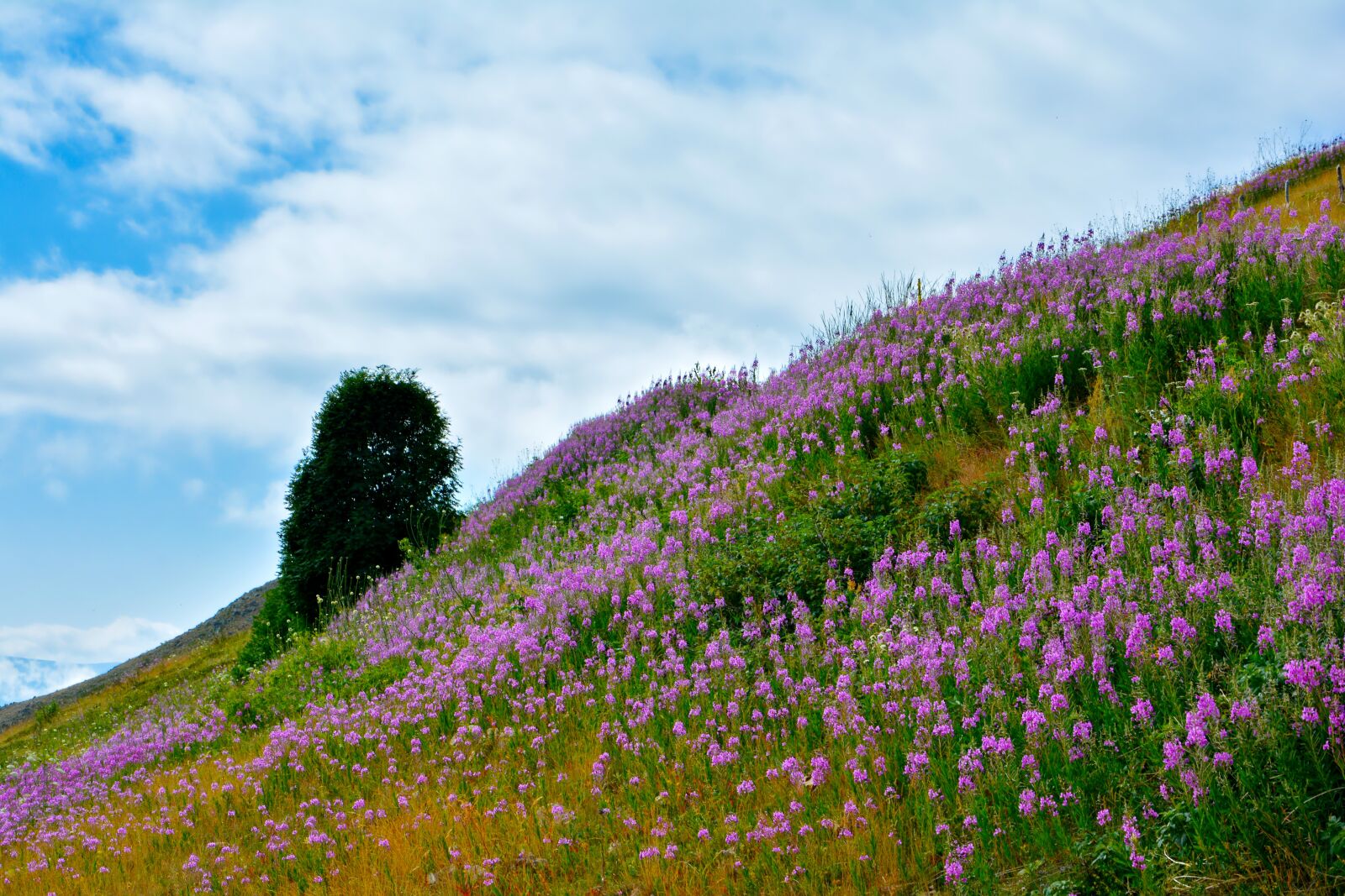 Nikon D7100 sample photo. Nature, landscape, kaçkars photography