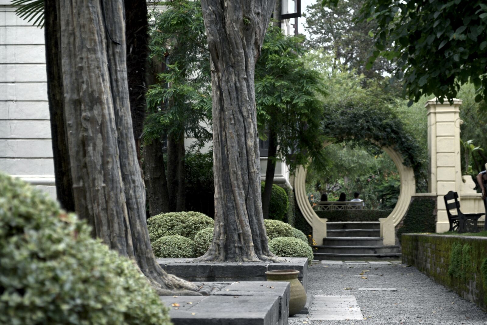 Nikon D3100 sample photo. Garden, park, public park photography