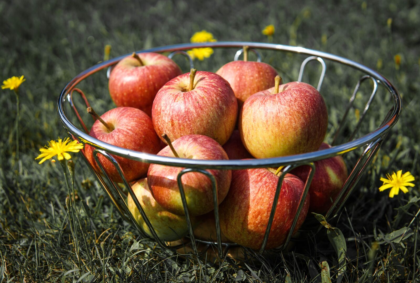 Sony a6000 sample photo. Apples, summer, fruit photography