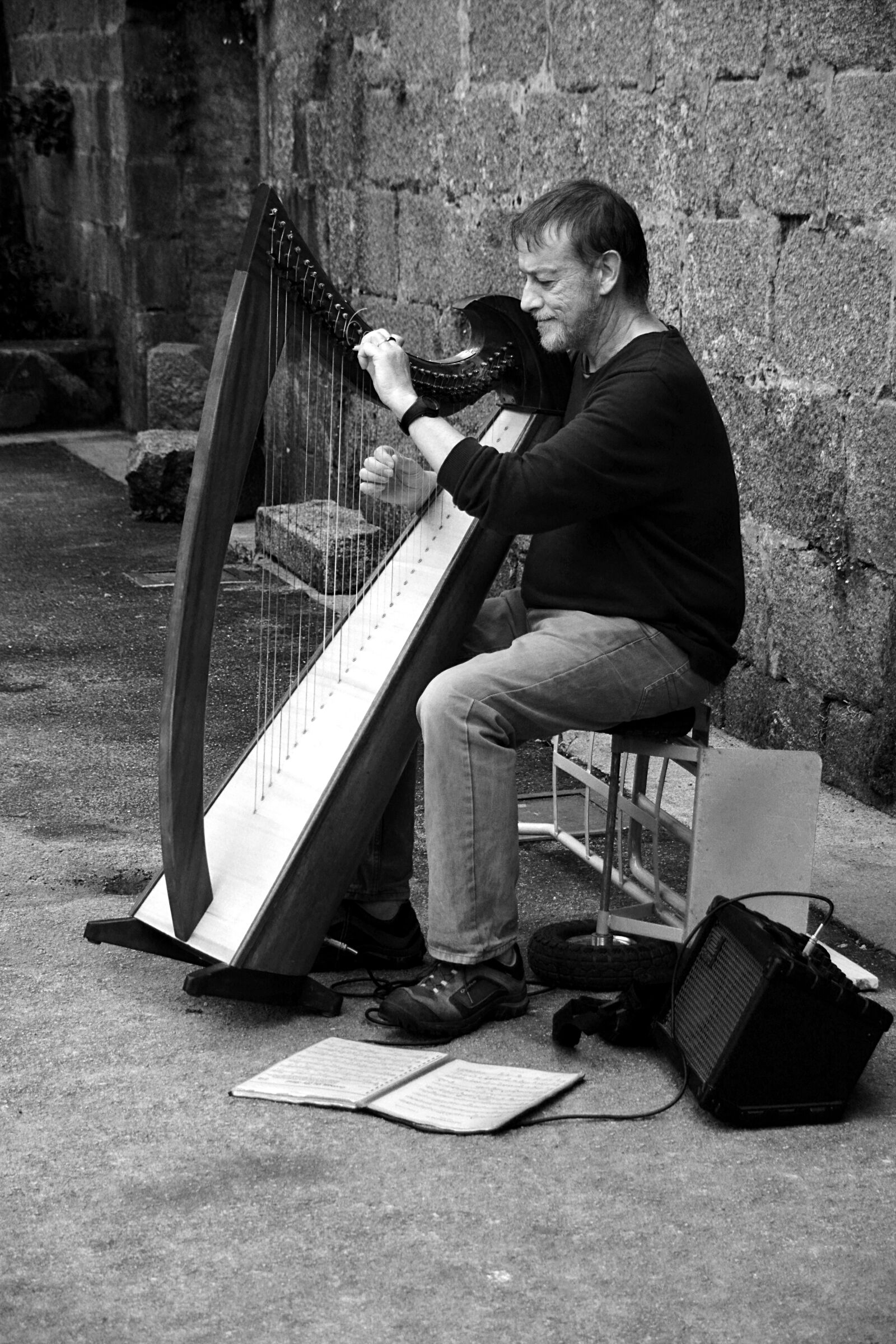 Nikon D5200 sample photo. Harp, harpist, strings photography