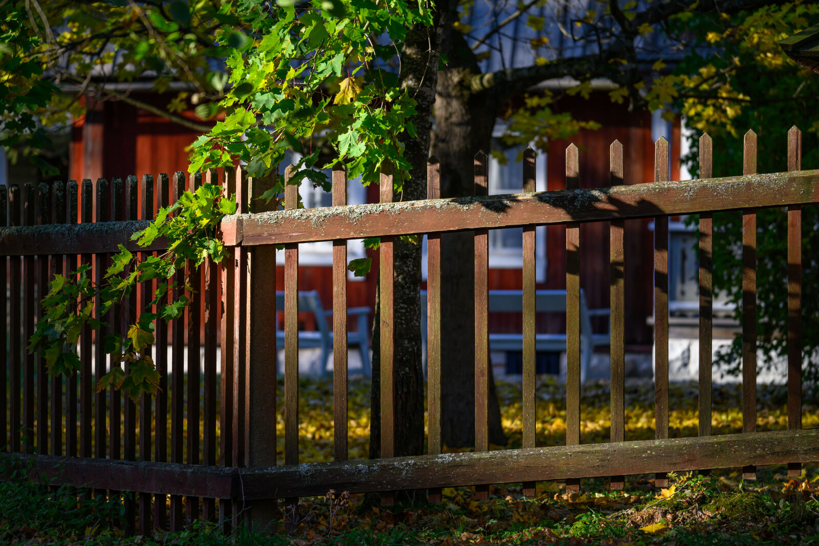 Tamron 150-500mm F5-6.7 Di III VC VXD sample photo. Fence of the morning photography