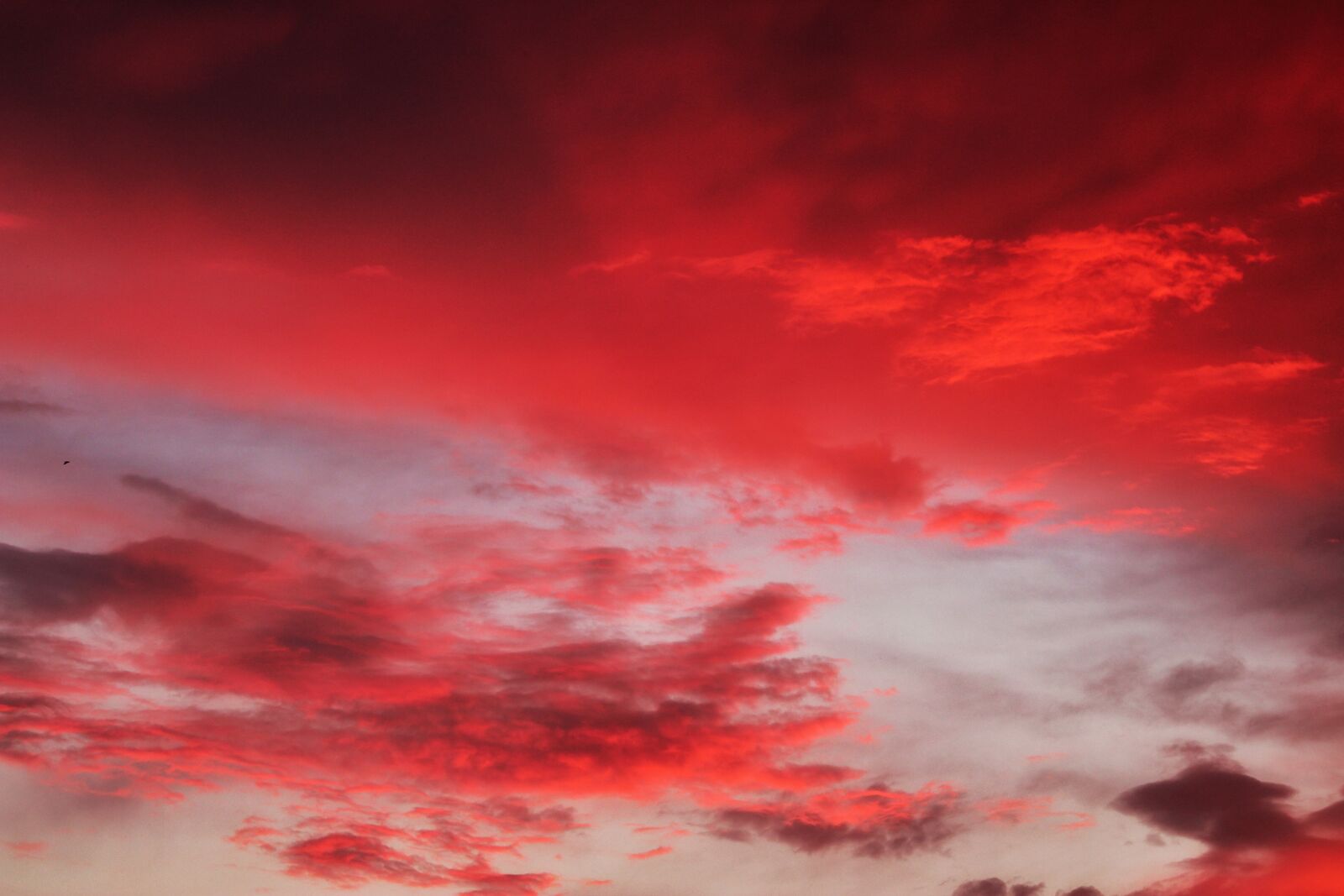 Canon EOS 1300D (EOS Rebel T6 / EOS Kiss X80) sample photo. Sky, sunset, dusk photography