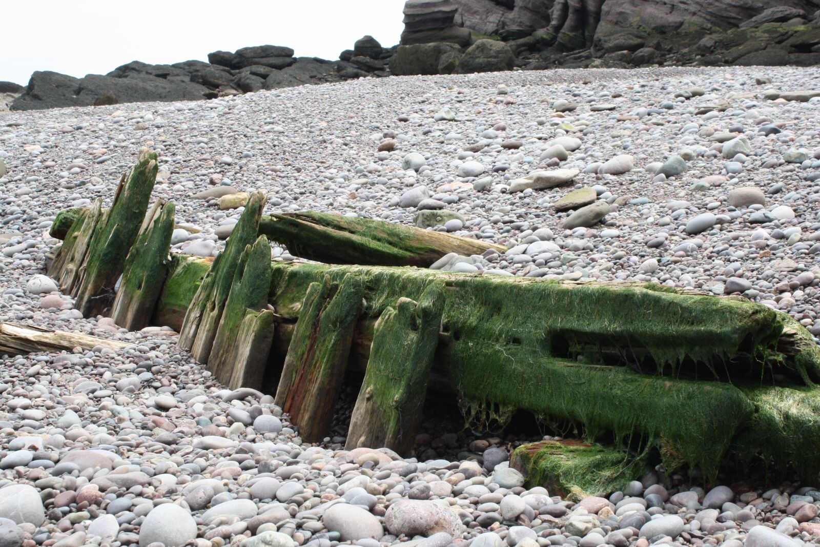 Canon EOS 1000D (EOS Digital Rebel XS / EOS Kiss F) sample photo. Rocky beach, beach, fundy photography