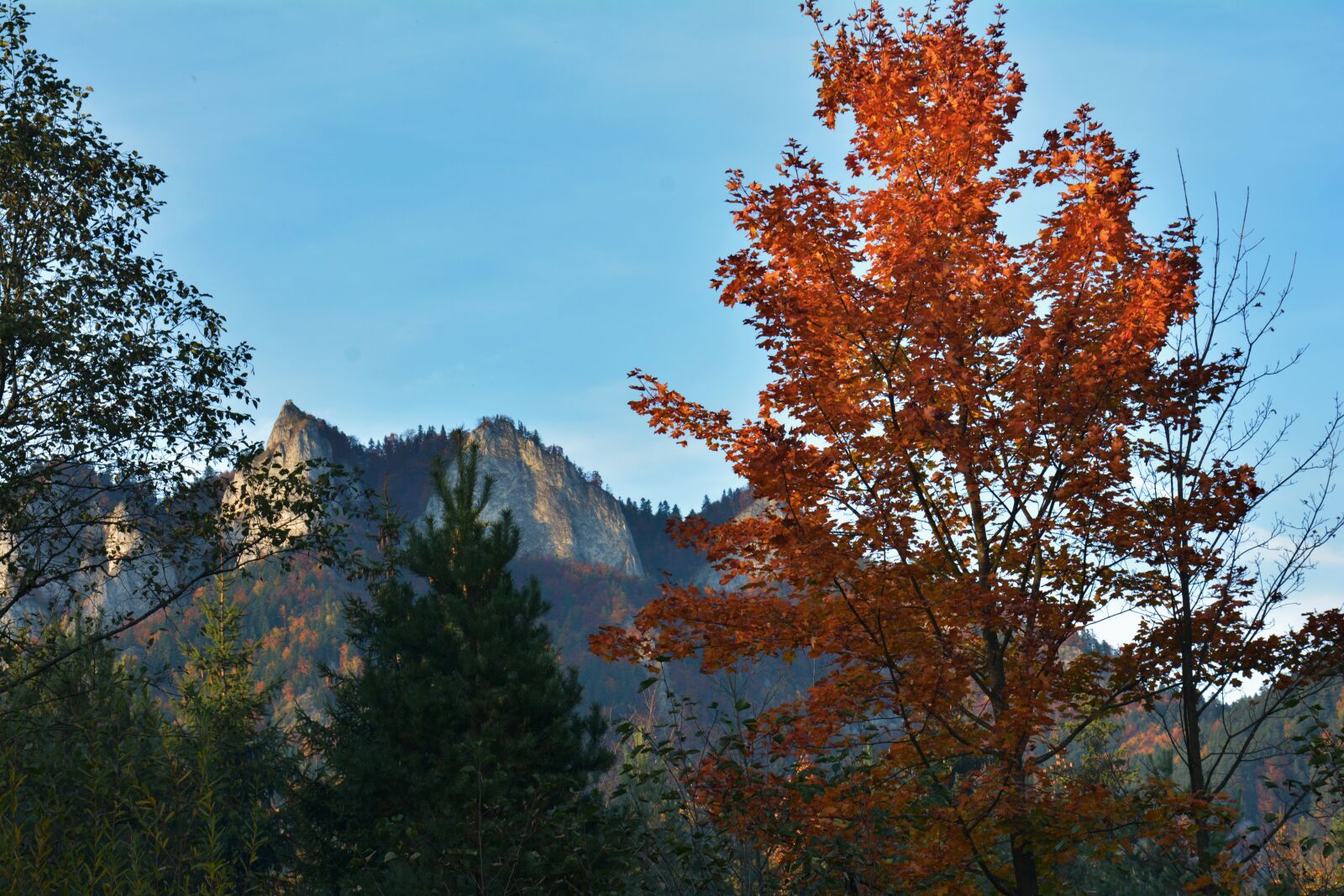 Nikon D7100 sample photo. Autumn, mountains, landscape photography