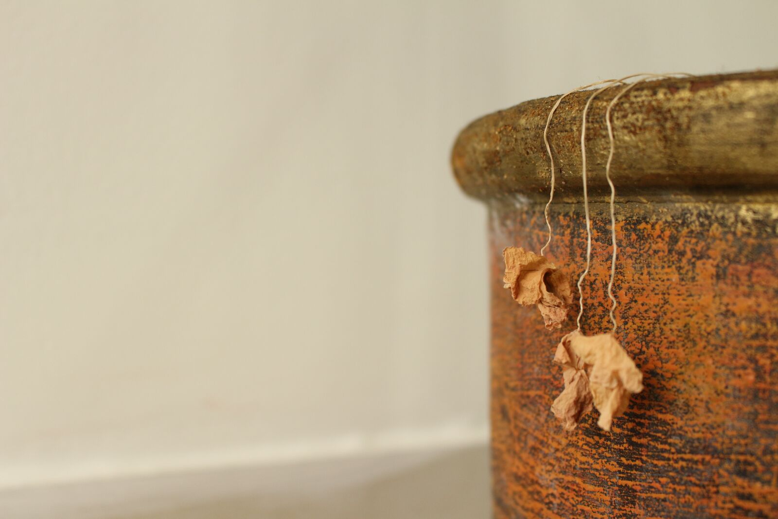 Canon EOS 700D (EOS Rebel T5i / EOS Kiss X7i) sample photo. Dried leaves, background, flower photography