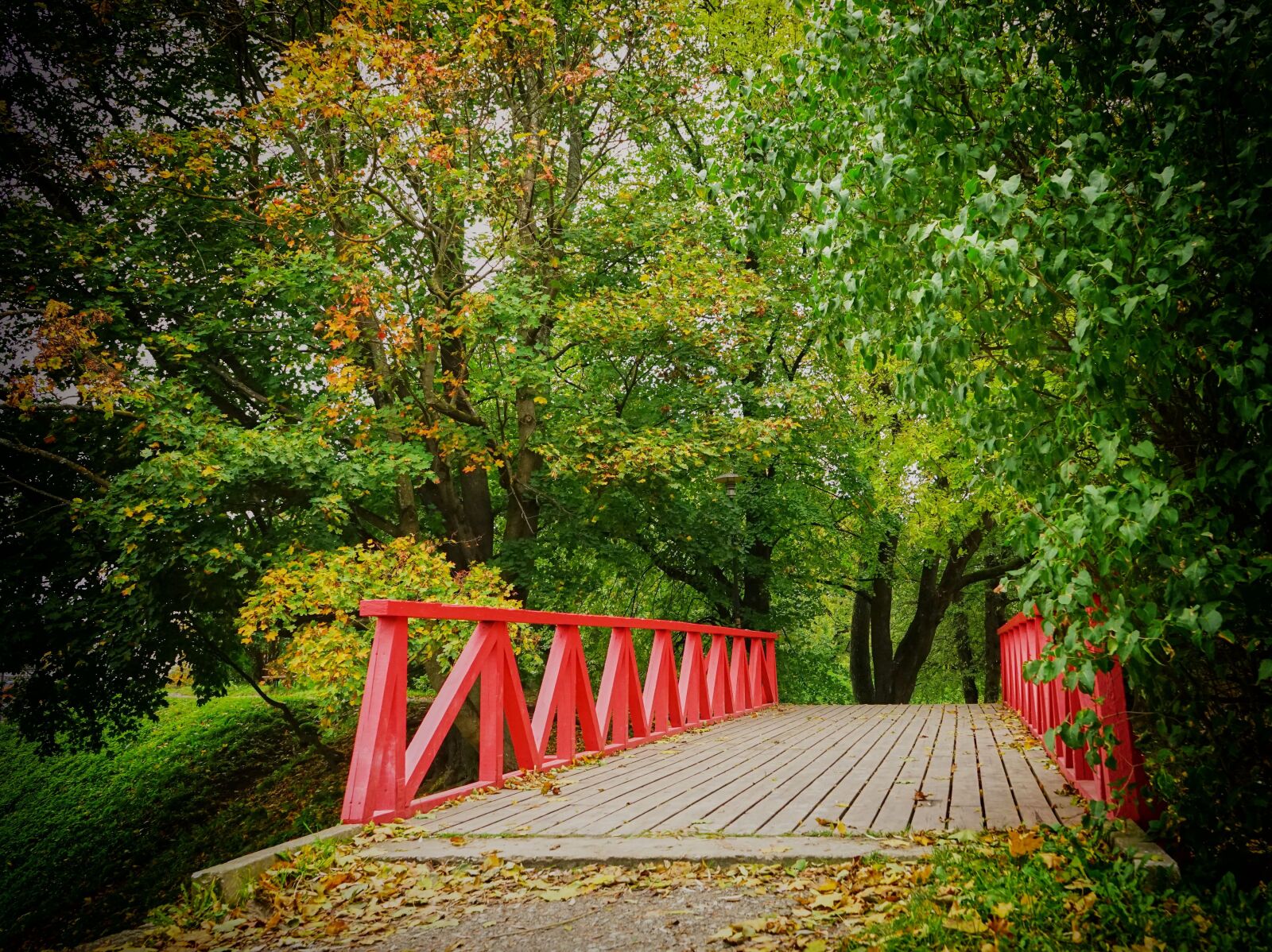 Sony a7 II + Sony FE 28-70mm F3.5-5.6 OSS sample photo. Autumn, bridge, park photography