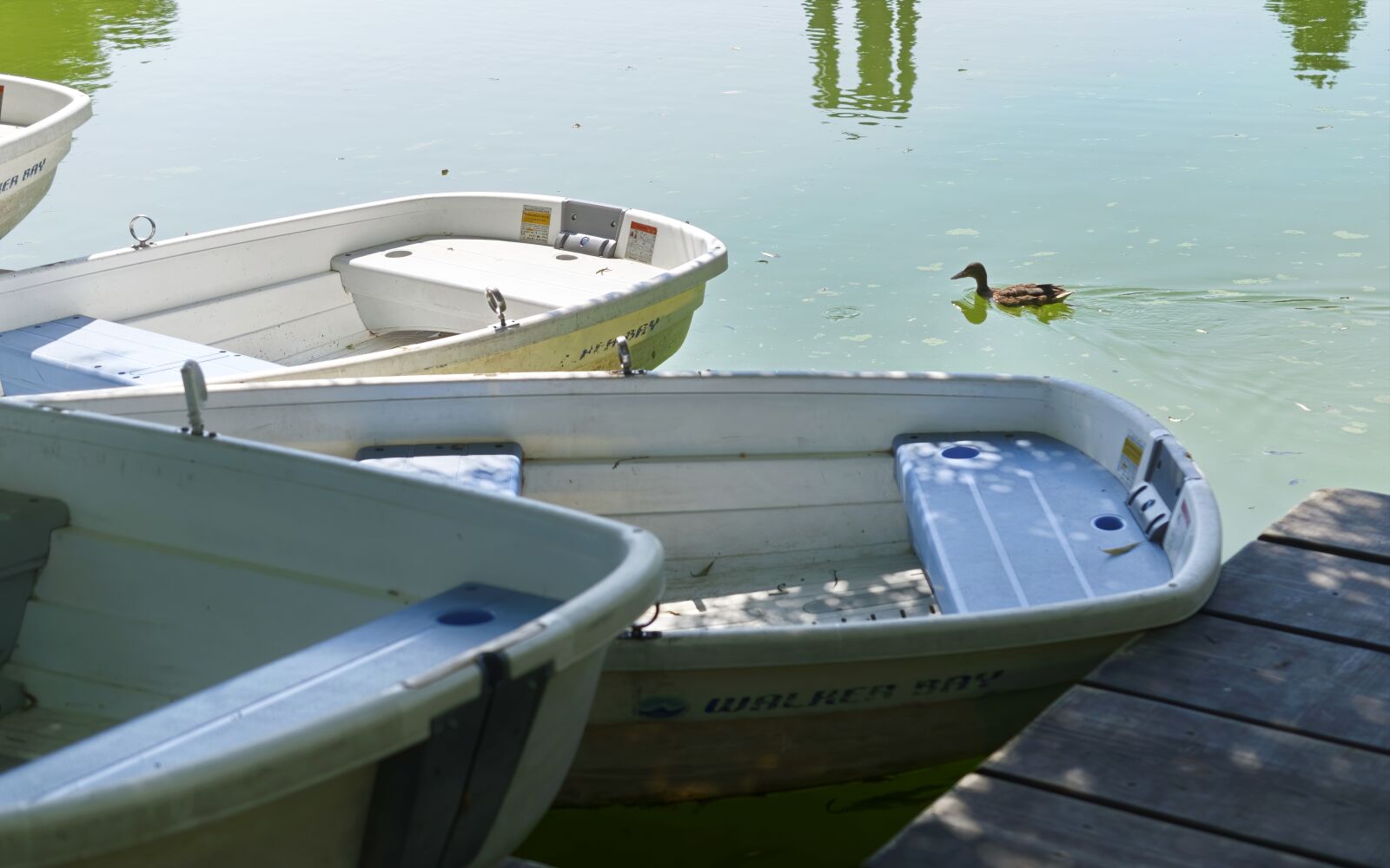 Nikon D5300 sample photo. Lake, water, reflections photography