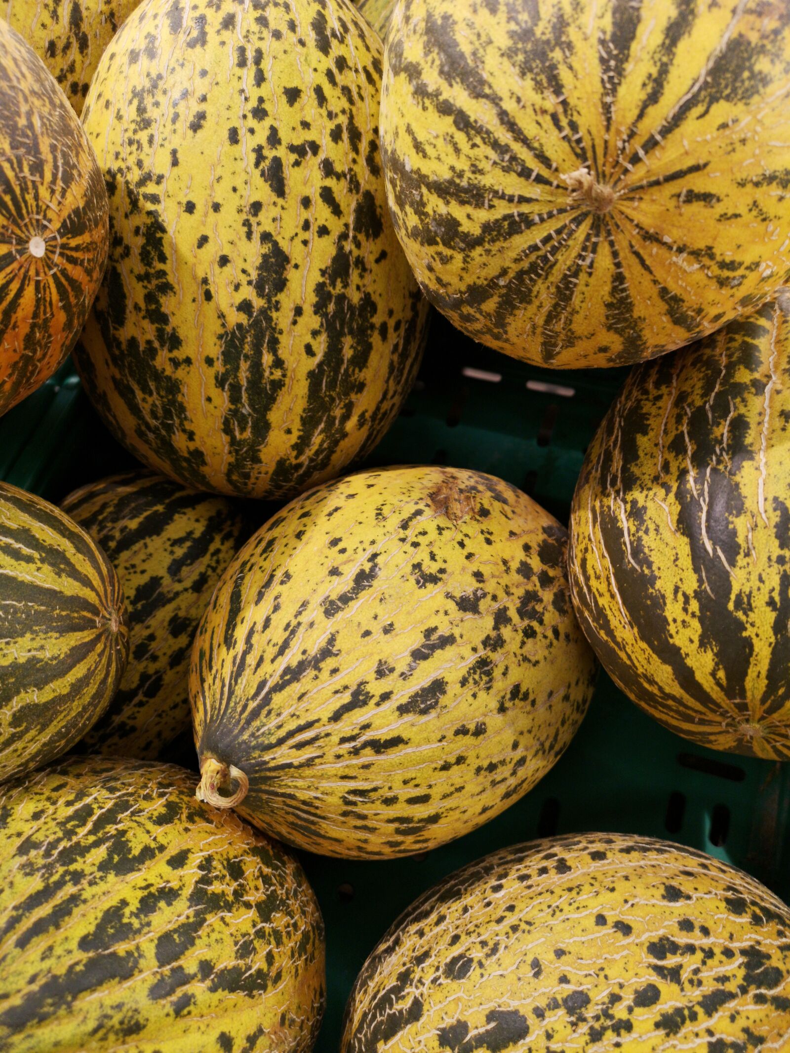 HUAWEI CLT-L09 sample photo. Melon, vegetable, fruit photography