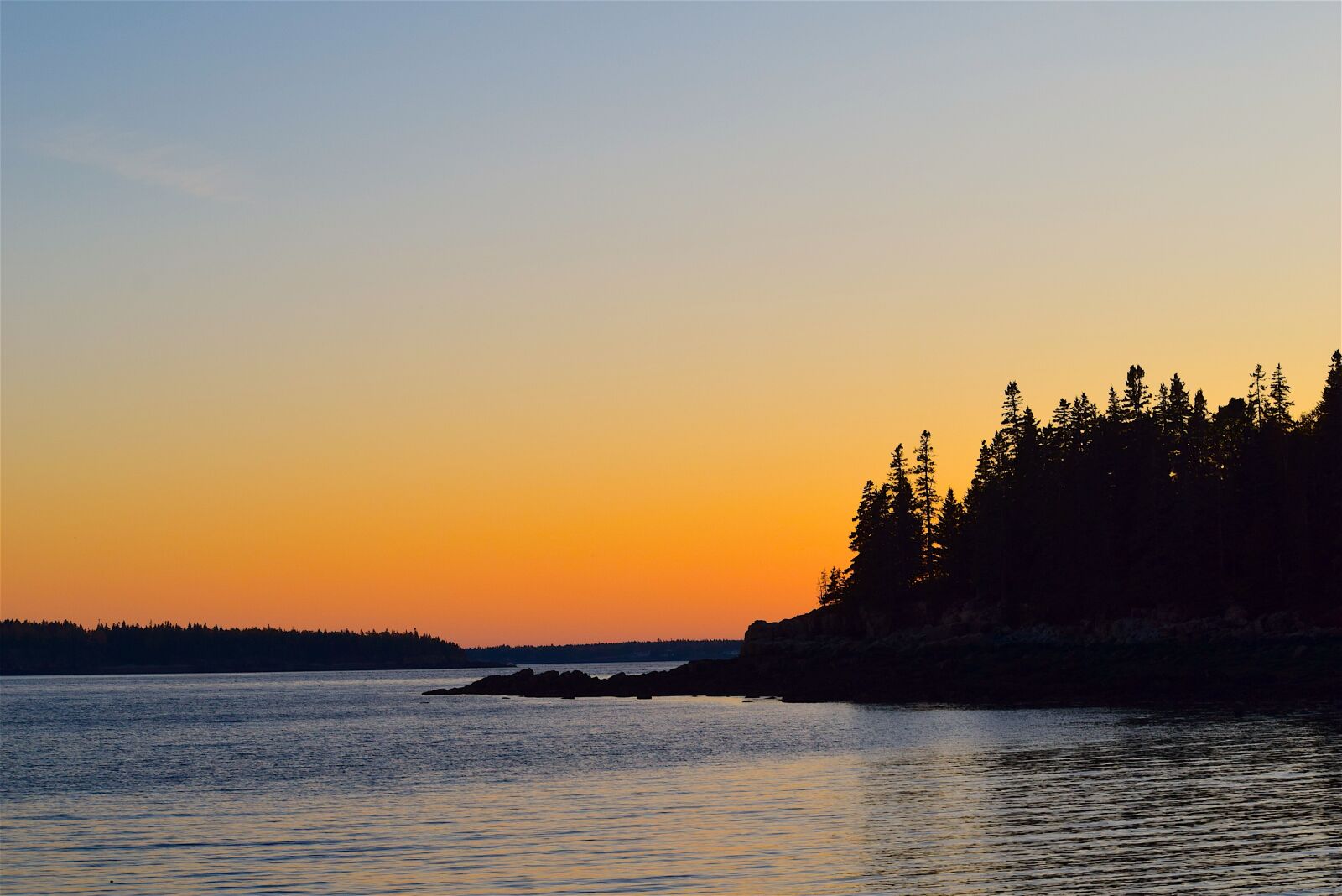 Nikon D3300 sample photo. Sunset, pine trees, ocean photography