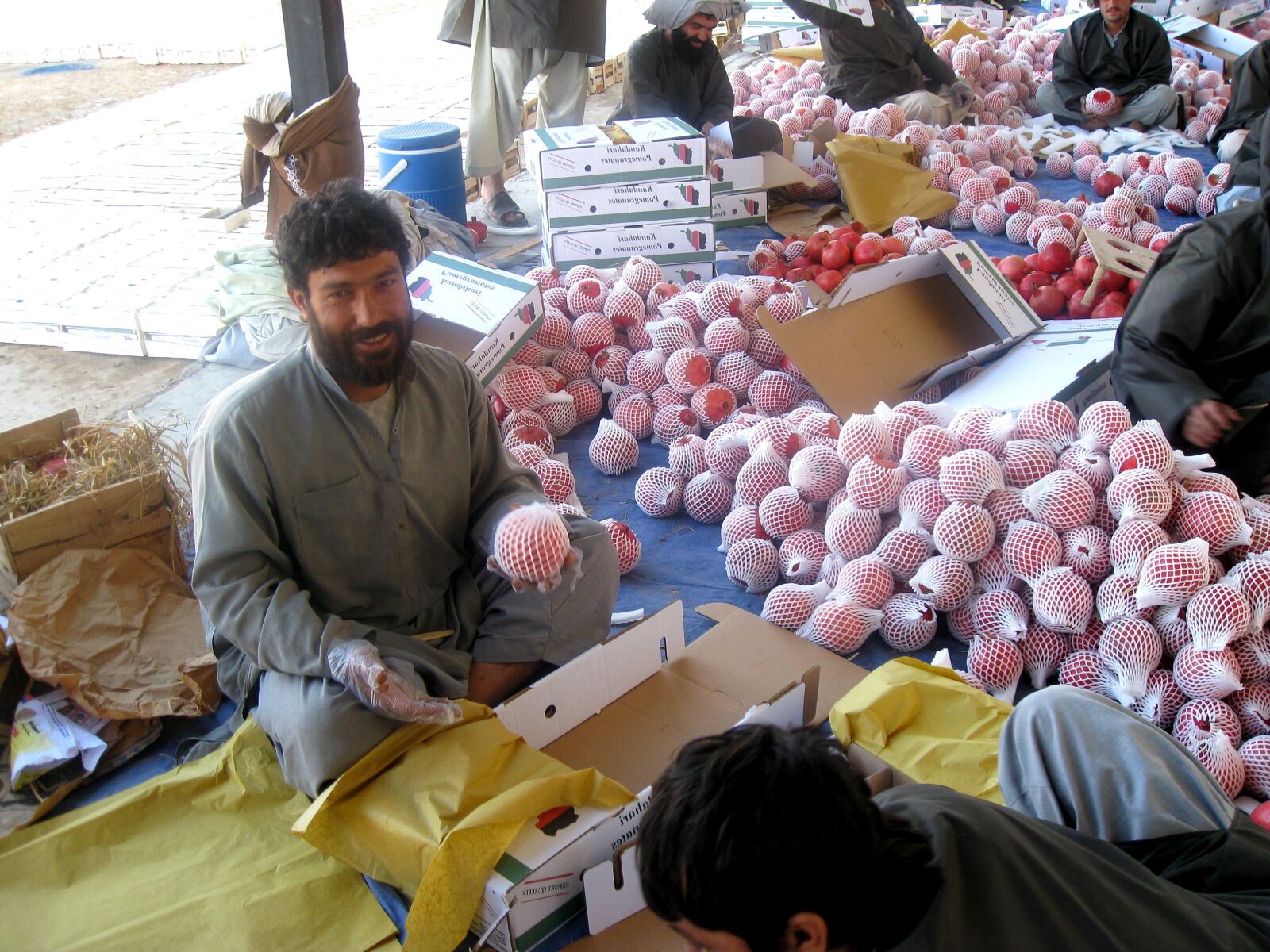 Canon POWERSHOT SD850 IS sample photo. Afghanistan, farmers, sorting, packing photography