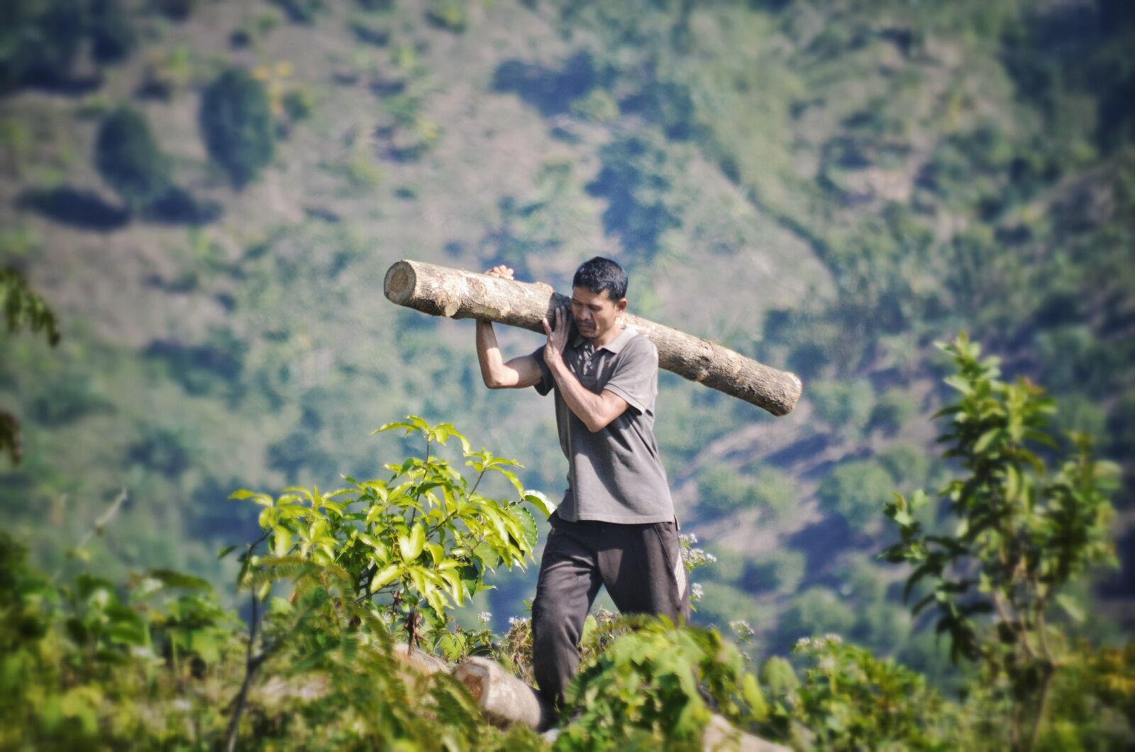 Nikon D5100 sample photo. Man, human, male photography