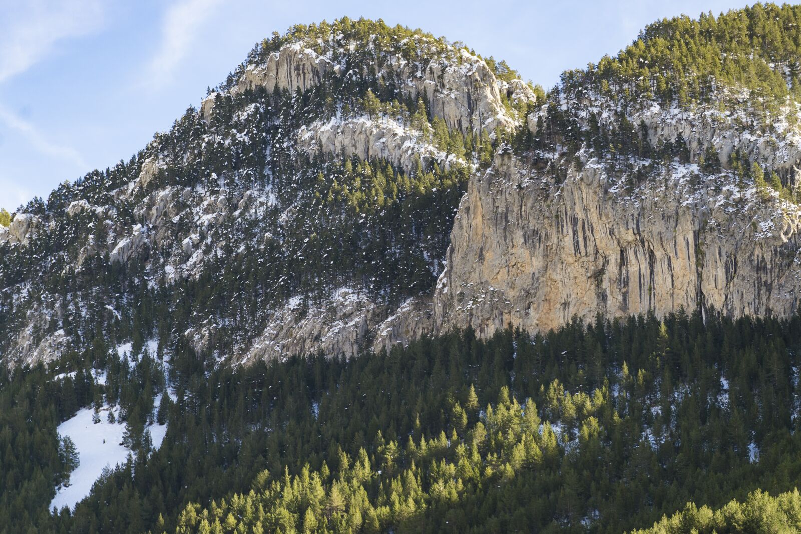 Sony a7 II + Sony FE 70-200mm F4 G OSS sample photo. Mountain, trees, nature photography