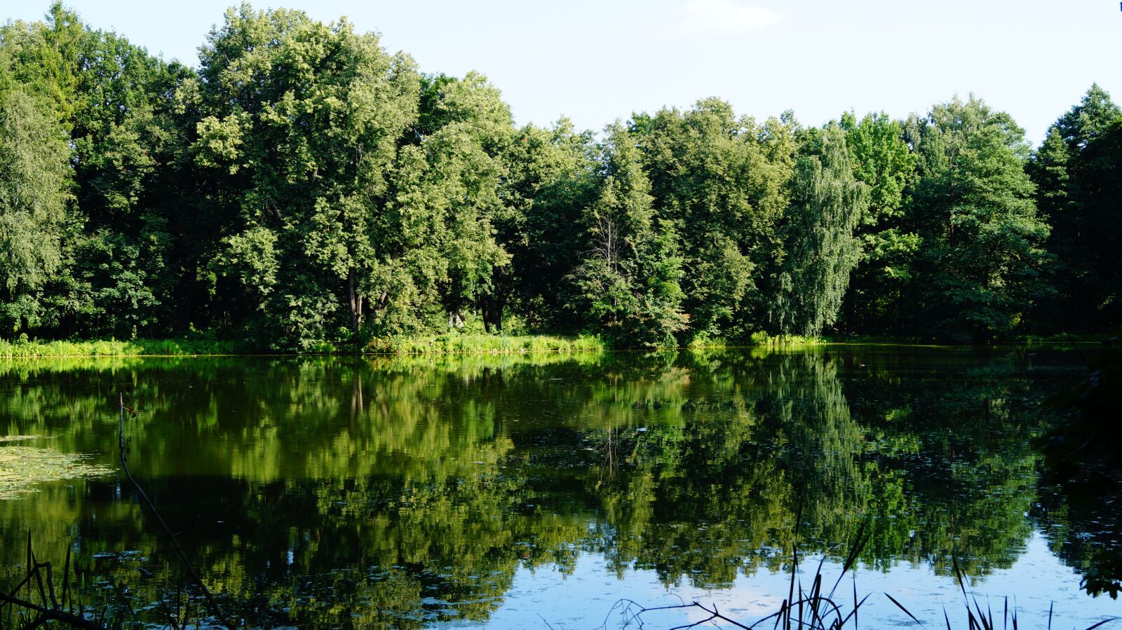 Sony DT 18-55mm F3.5-5.6 SAM II sample photo. Russia, moscow region, body photography