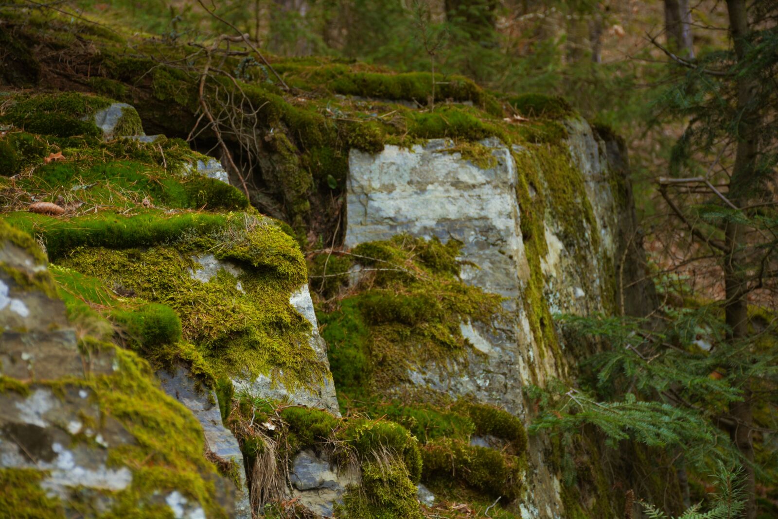 Nikon D5200 sample photo. Nature, rock, landscape photography