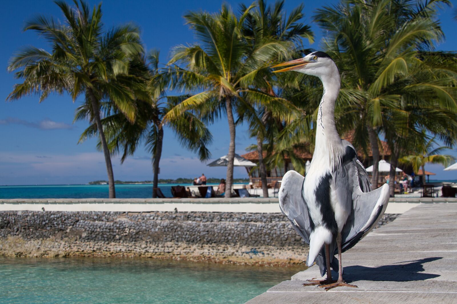 Canon EOS 7D sample photo. Sunbathing, vacations, sun photography