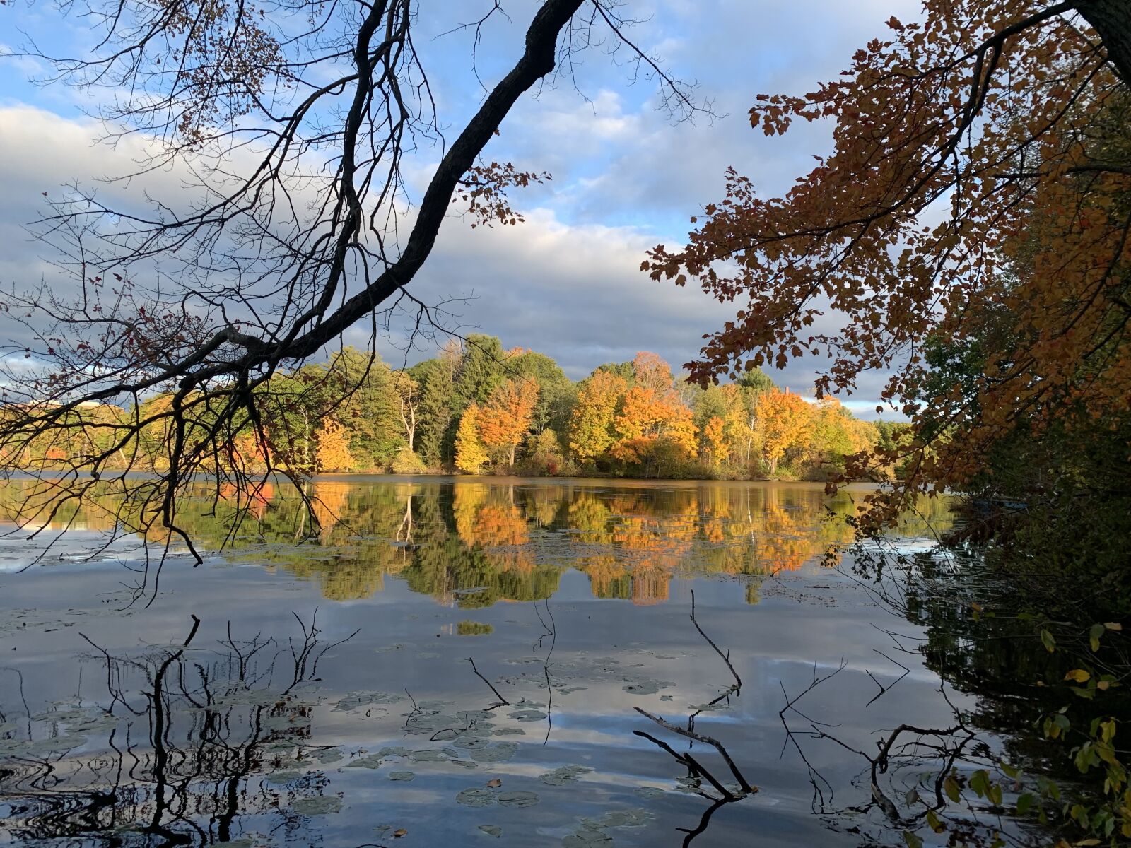 Apple iPhone XR sample photo. Fall, trees, river photography