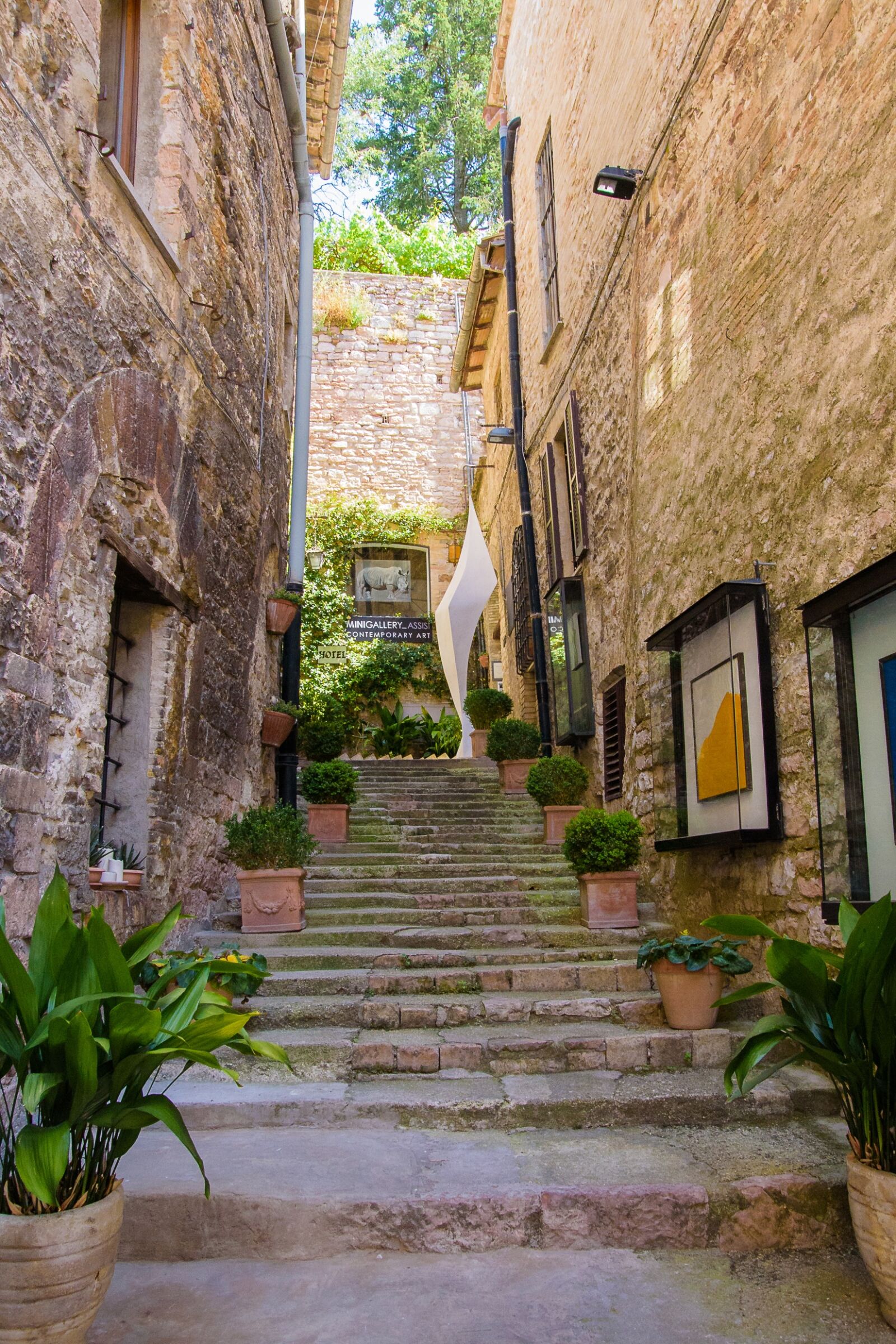 Nikon D750 sample photo. Assisi, asiz, square photography