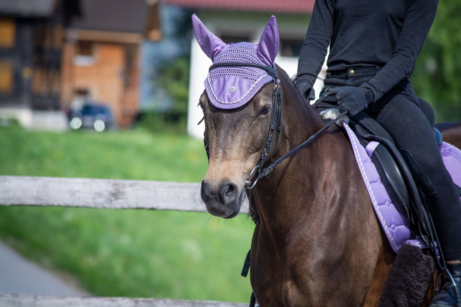 Nikon D7100 sample photo. Horse, pony, ride photography
