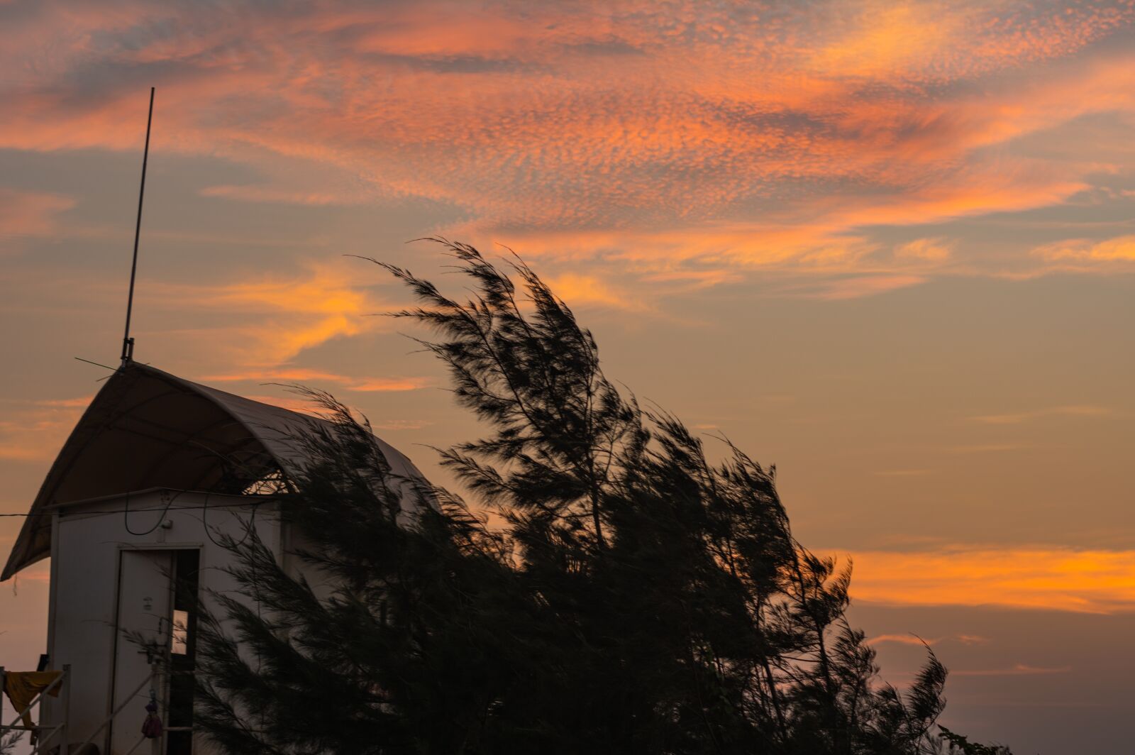 Nikon D5200 sample photo. Orange, sky, beach photography