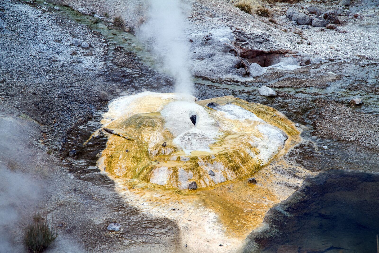 Canon EOS 7D sample photo. Yellowstone national park, wyoming photography