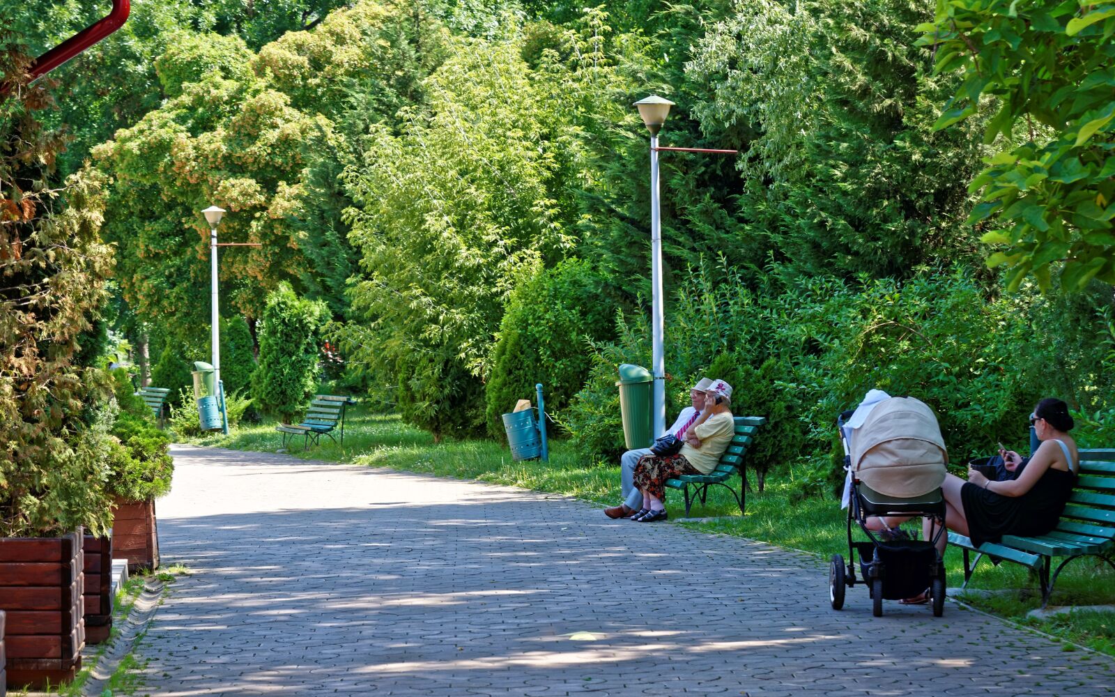 Nikon D5300 sample photo. Landscape, park, nature photography