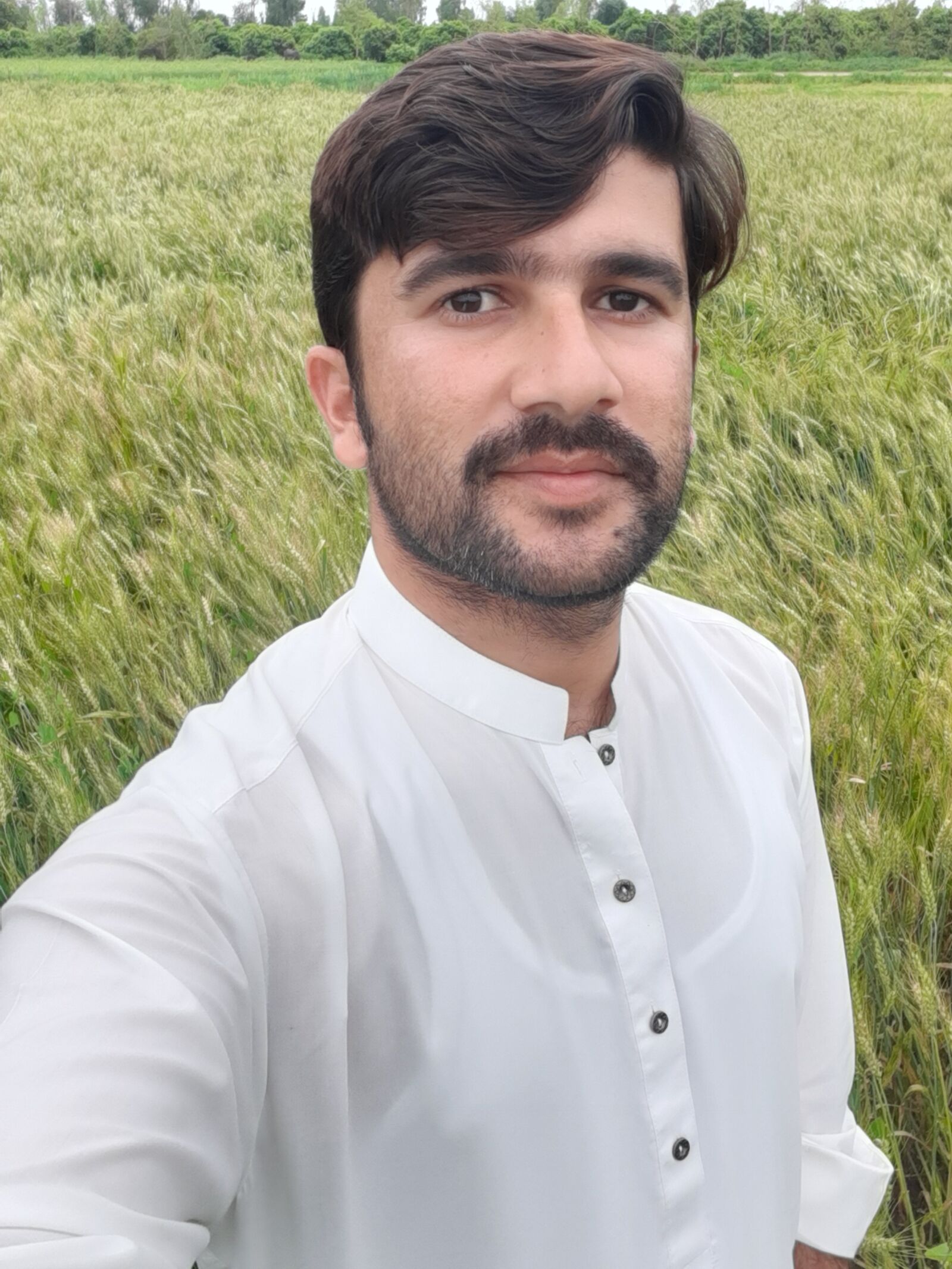 Samsung Galaxy A30 sample photo. Field, visit, wheat photography