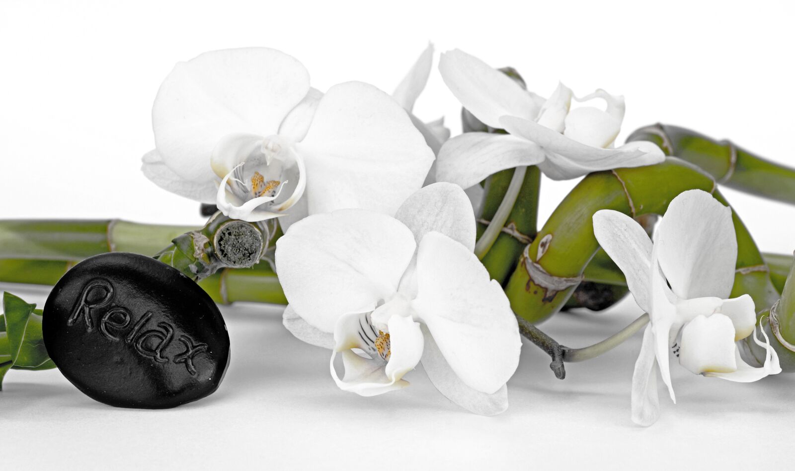 Nikon D7100 sample photo. Orchid, orchid flower, bamboo photography