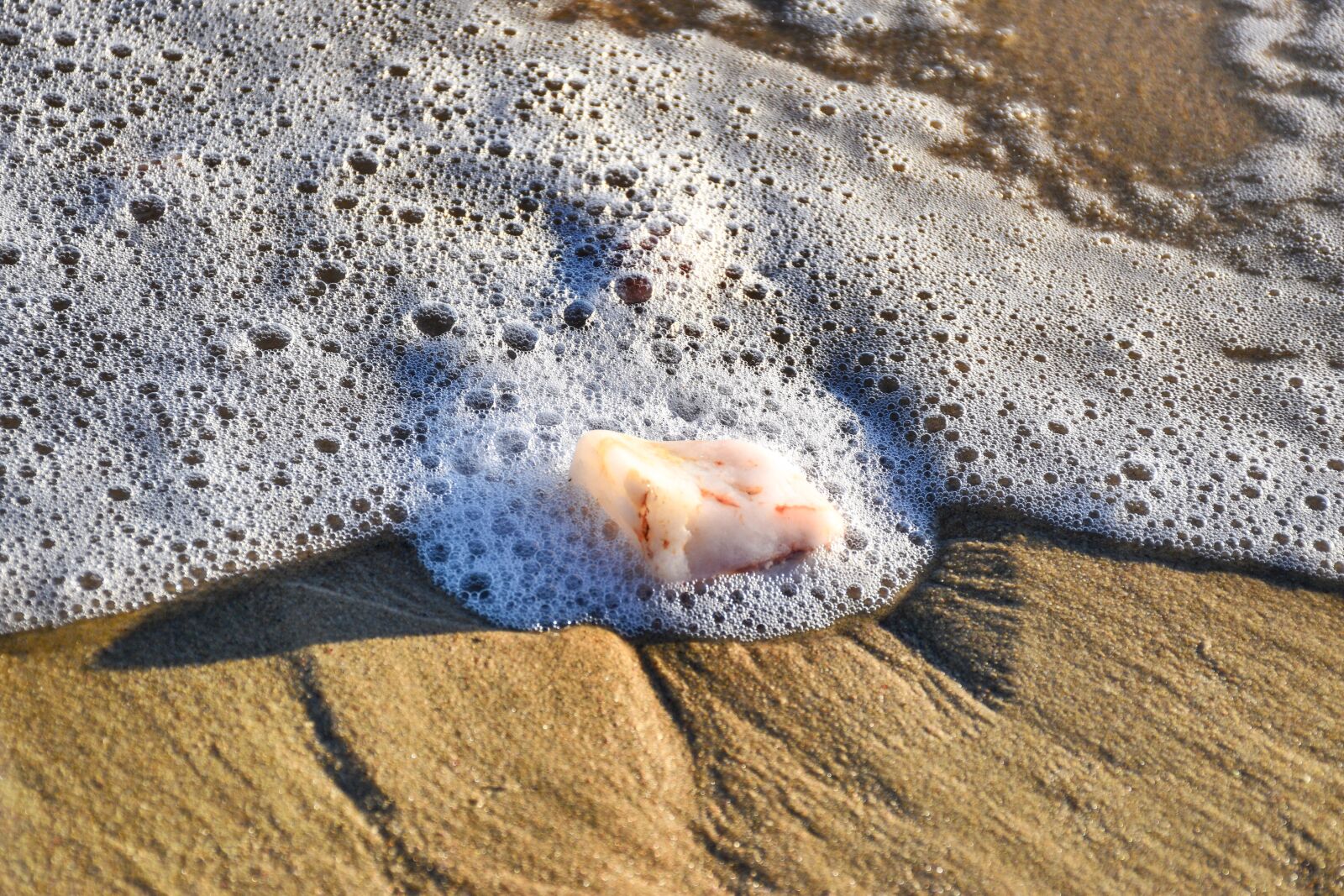 Nikon D5600 sample photo. Beach, sea foam, surf photography