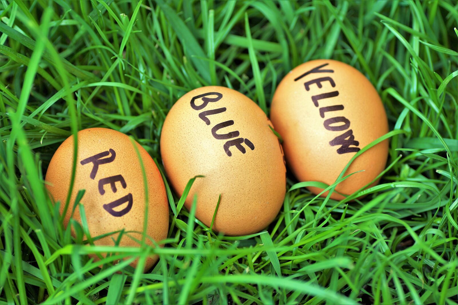 Sony SLT-A58 sample photo. Easter, eggs, easter eggs photography