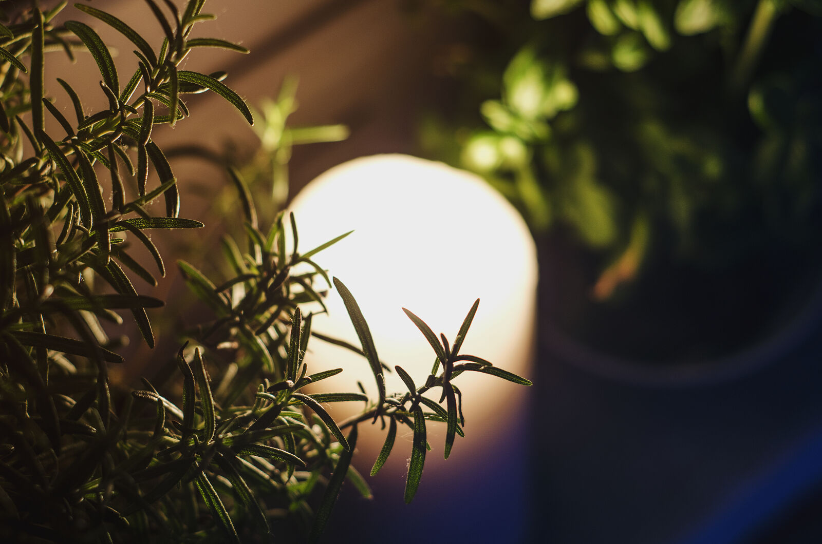 Nikon D7000 + Nikon AF Nikkor 50mm F1.8D sample photo. Candle, dark, moody, night photography