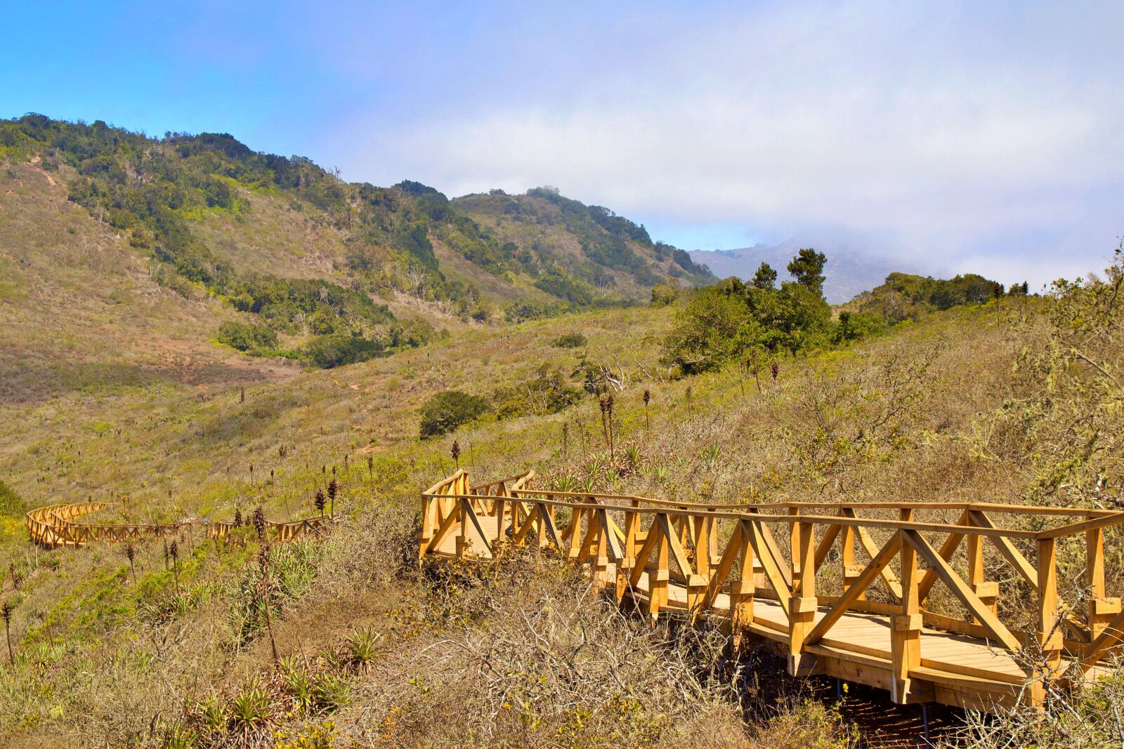 Canon EOS 600D (Rebel EOS T3i / EOS Kiss X5) sample photo. Chile, nature, landscape photography