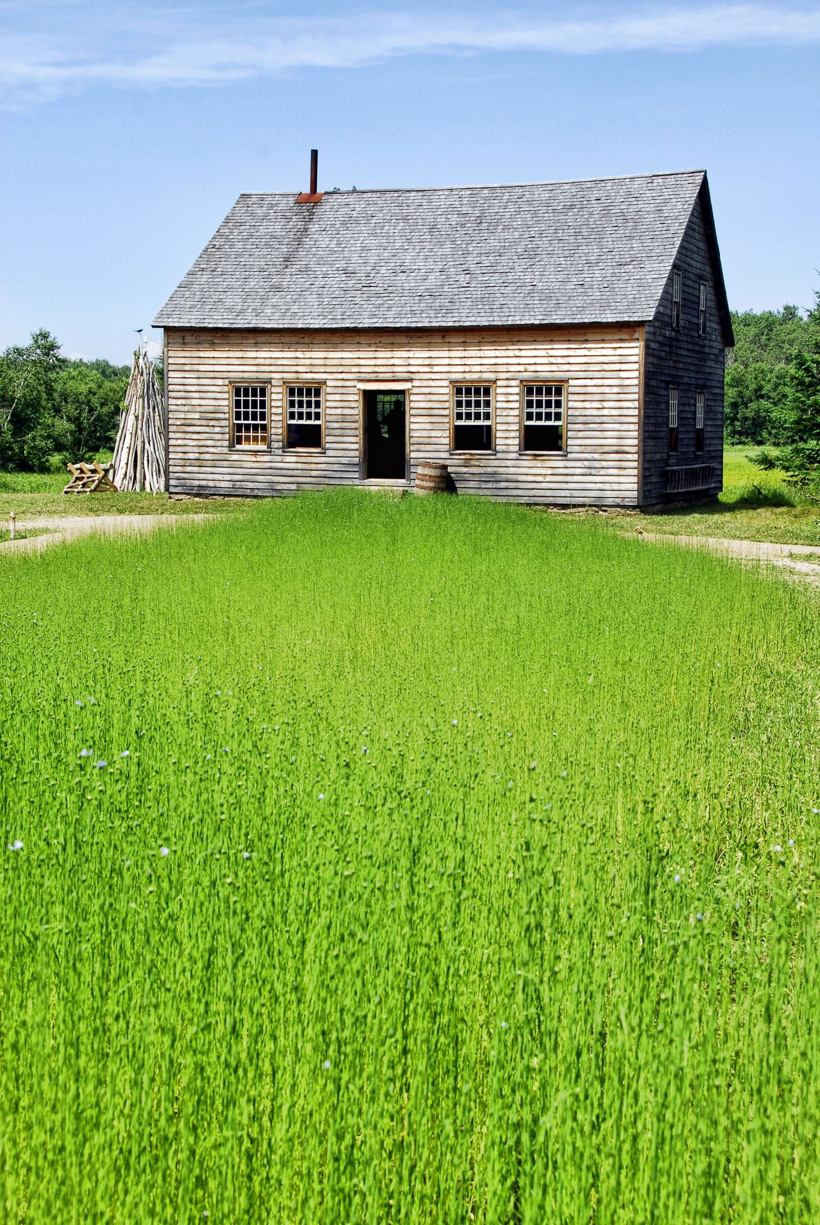 Nikon D200 sample photo. Flax, field, farm house photography
