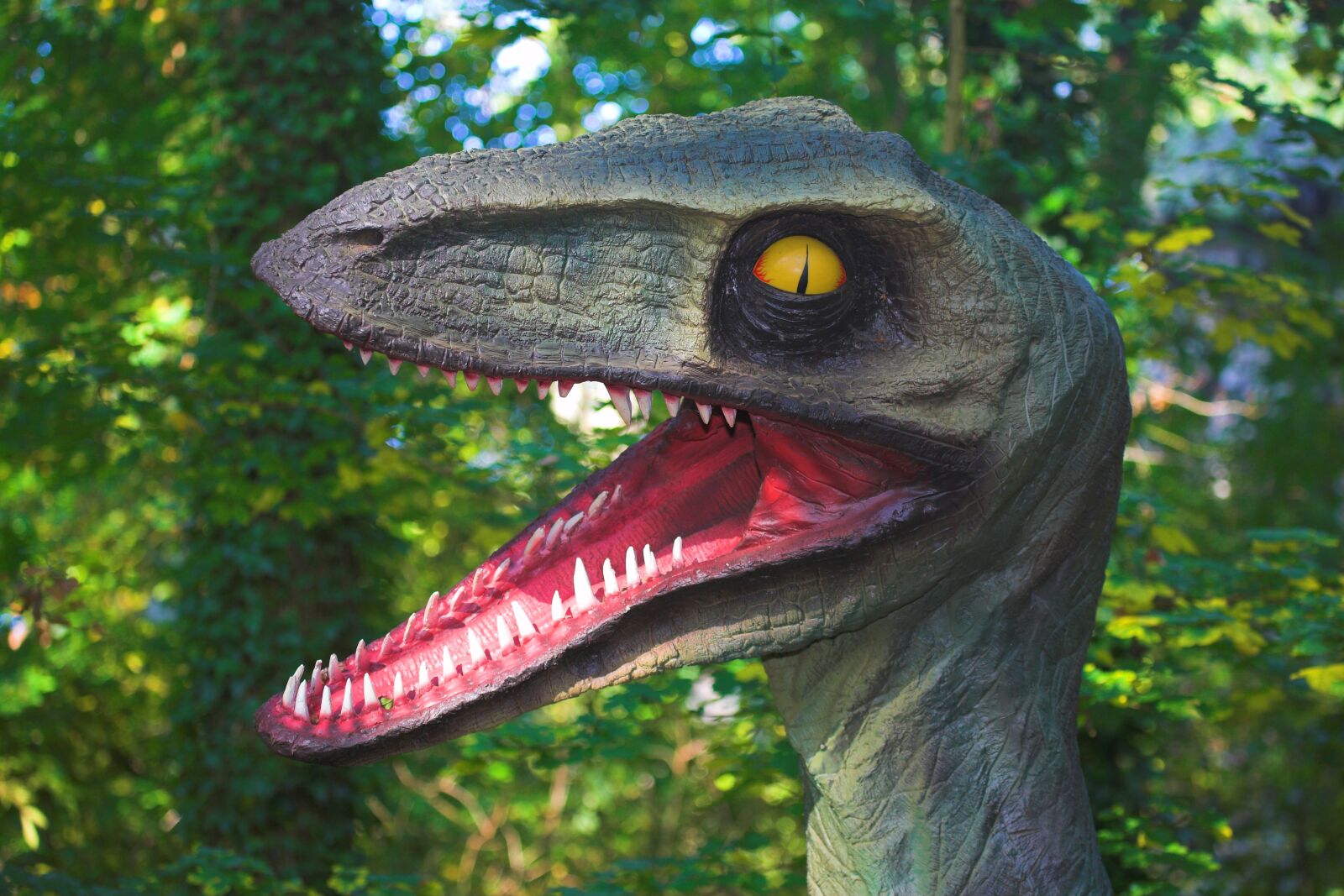 Canon EOS 5D sample photo. Forest, teeth, dinosaur photography