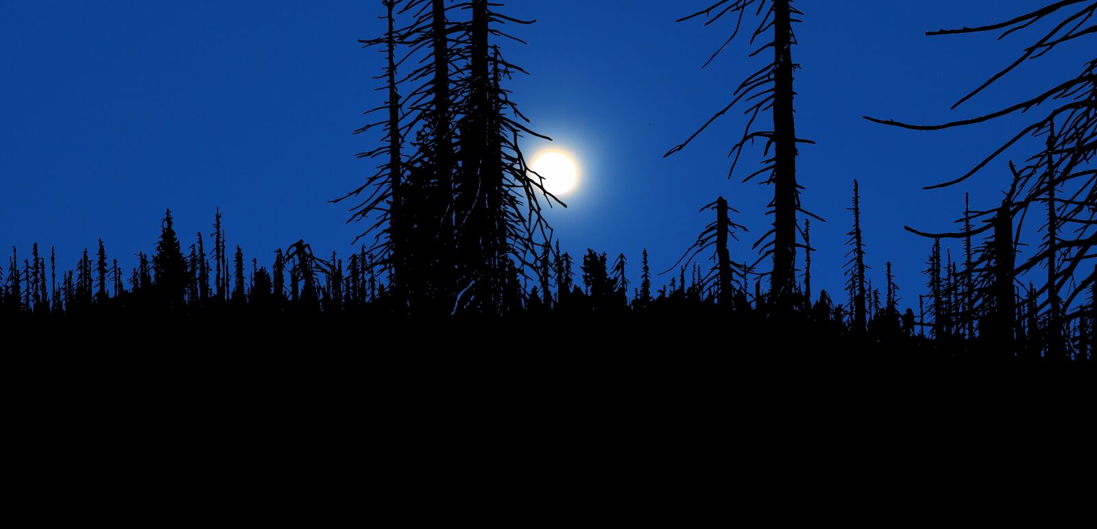 Canon PowerShot G1 X Mark III sample photo. Night, moon, nature photography
